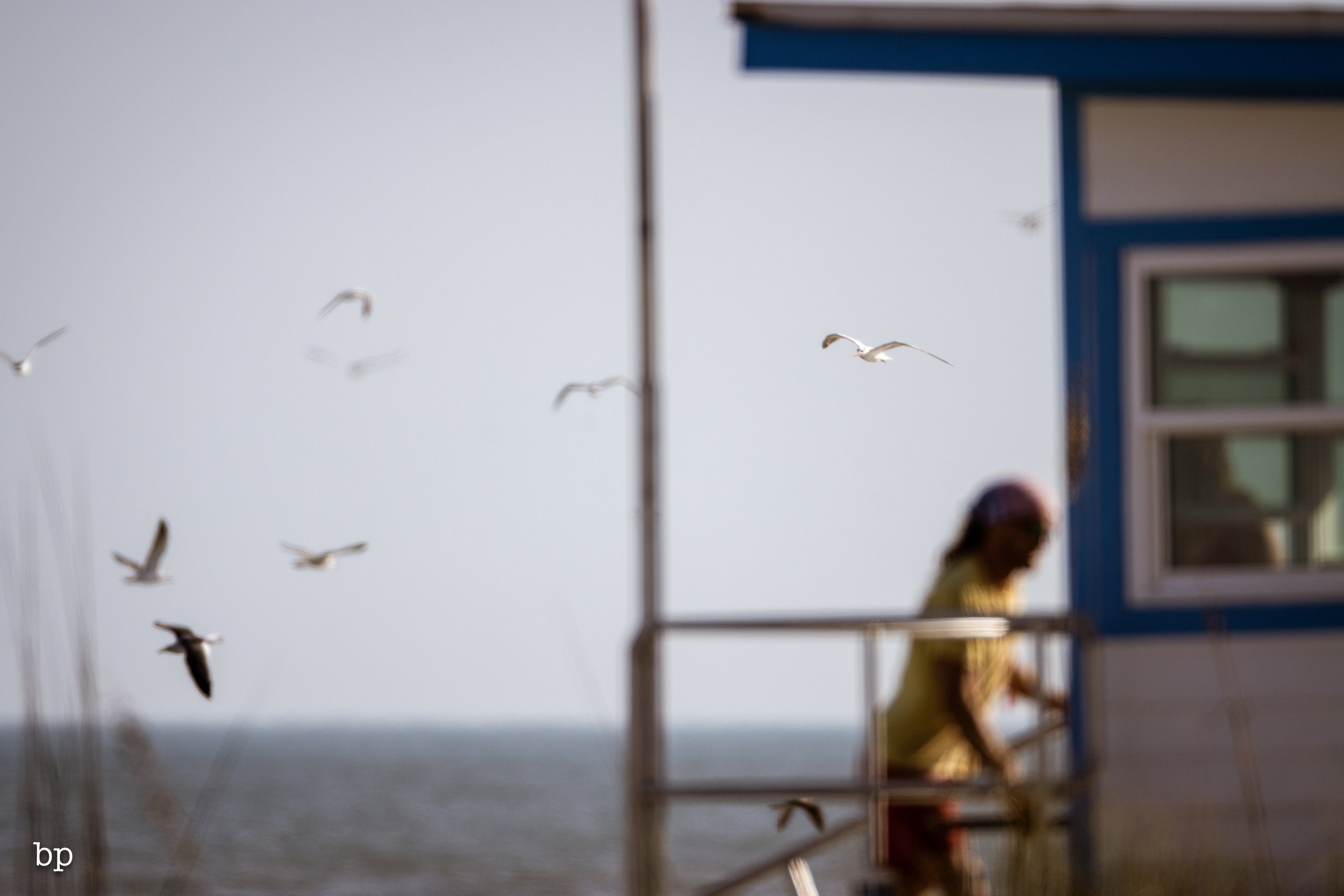 set_120525_raw_31_beachy800 (1 of 1).jpg