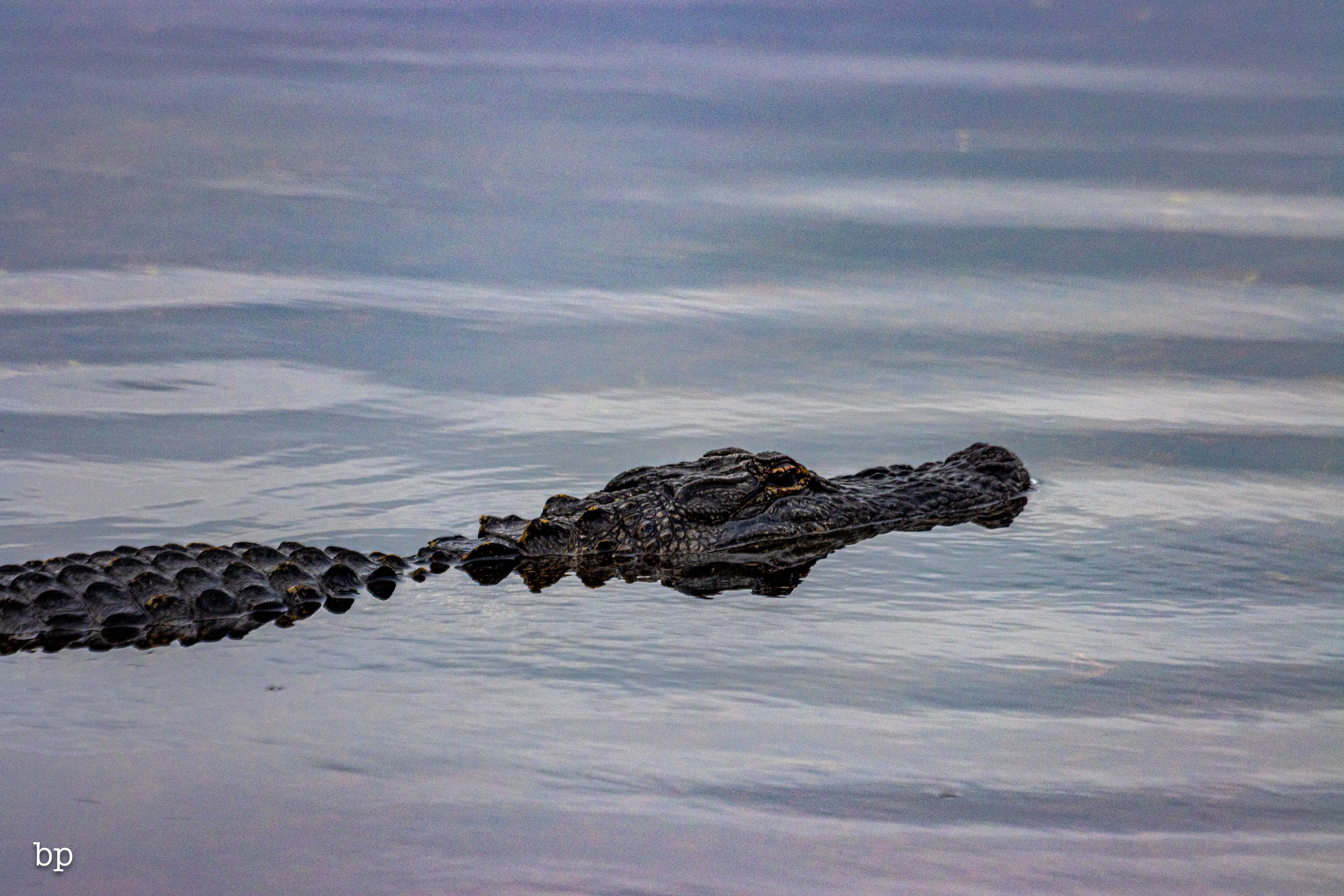 set_1209_cshore_133 (1 of 1).jpg