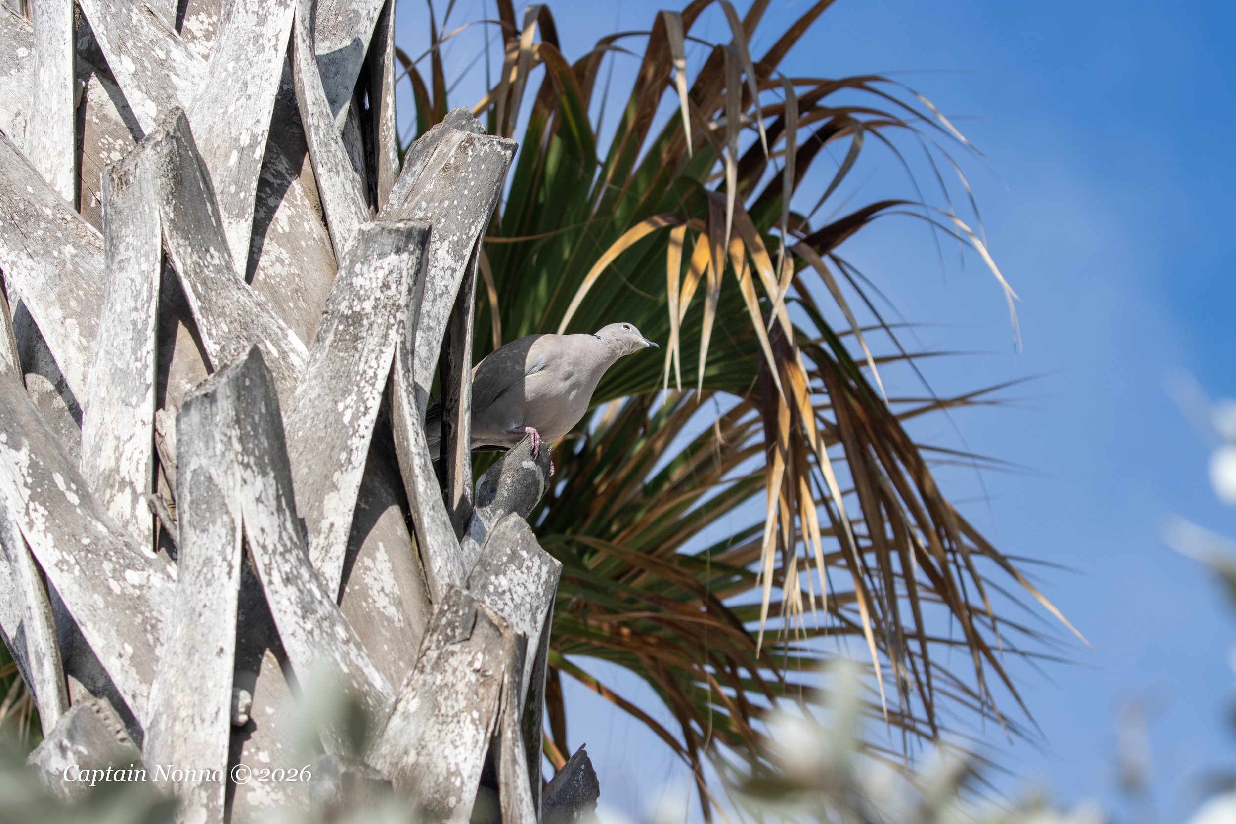 012226_234 (1 of 1).jpg