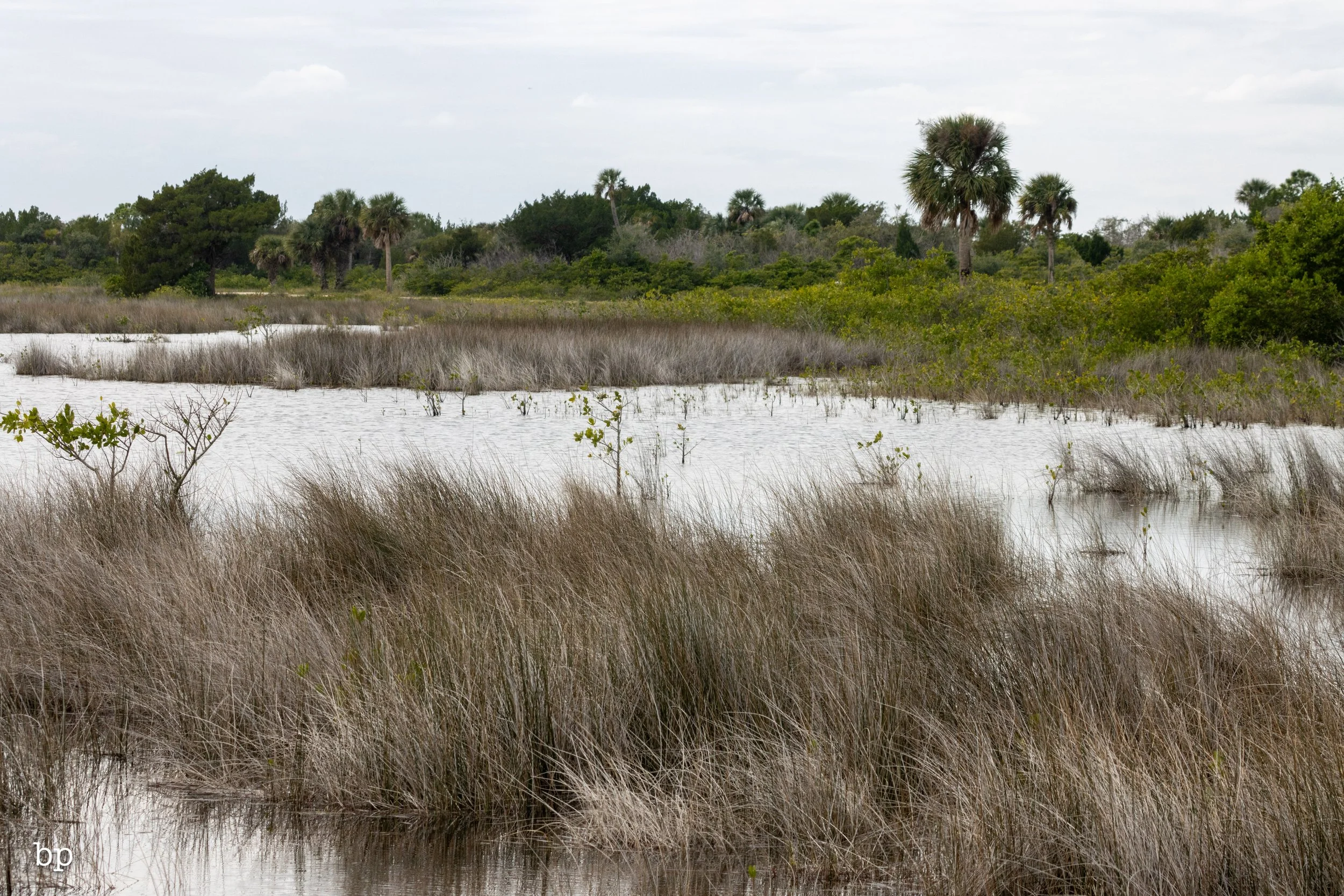 set_1209_cshore_88 (1 of 1).jpg