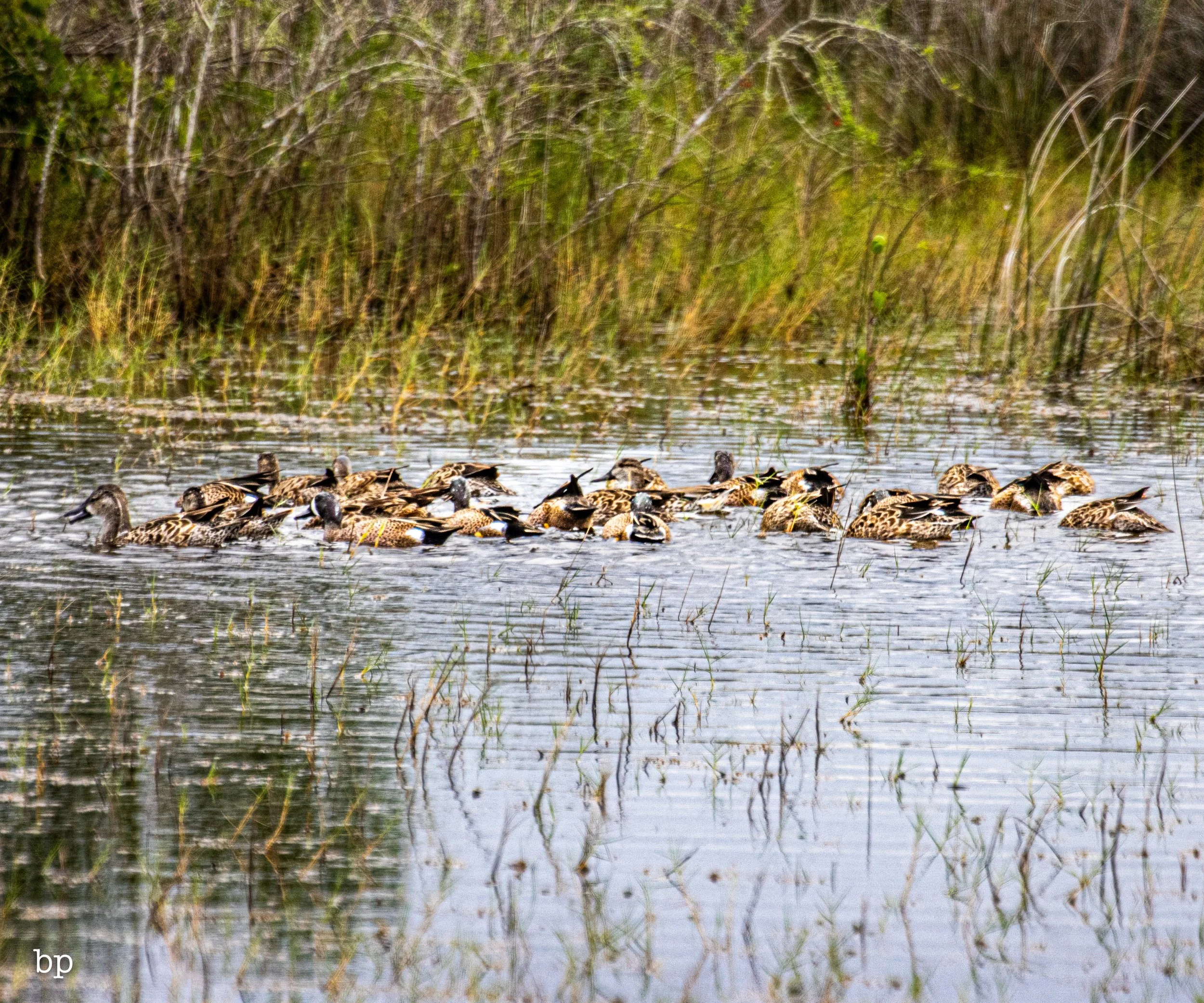 set_1209_cshore_109 (1 of 1).jpg