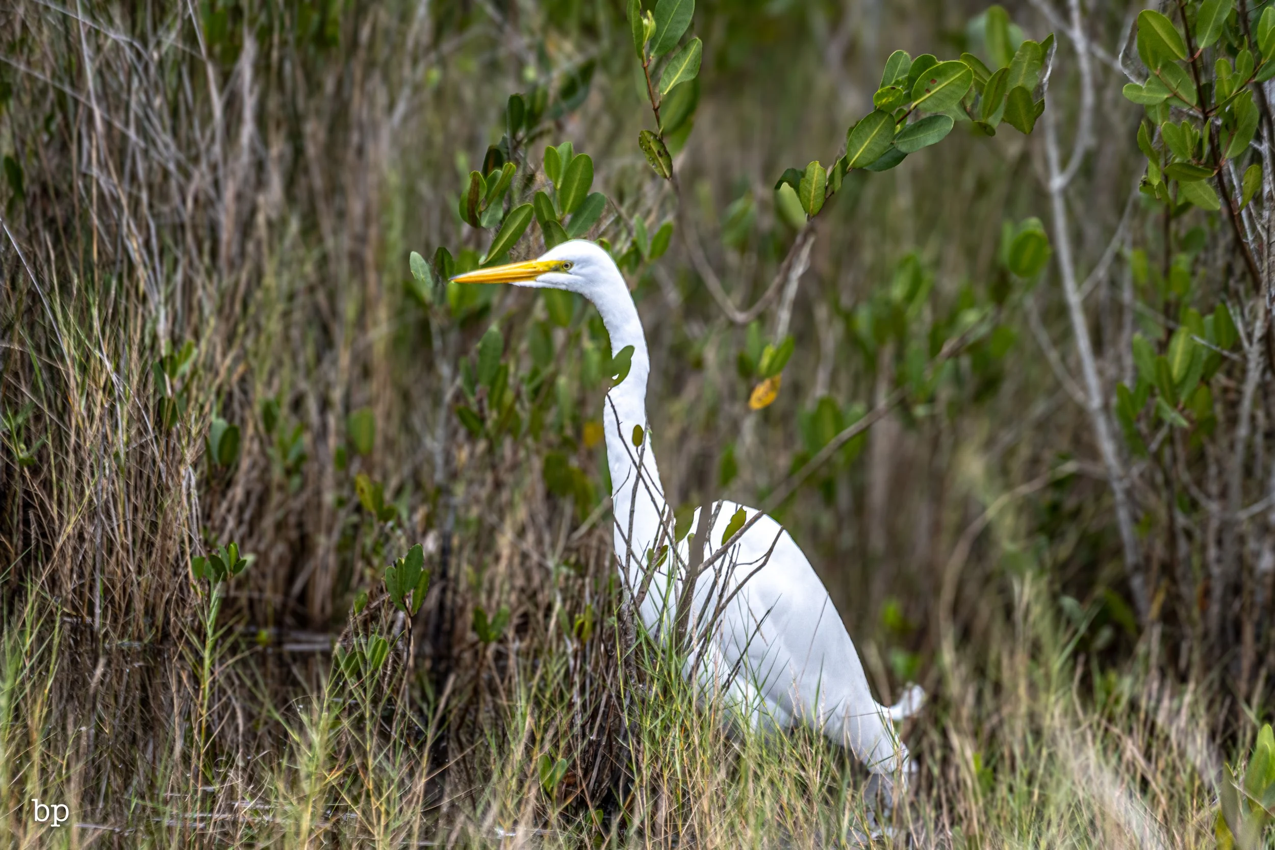 set_1209_cshore_94 (1 of 1).jpg