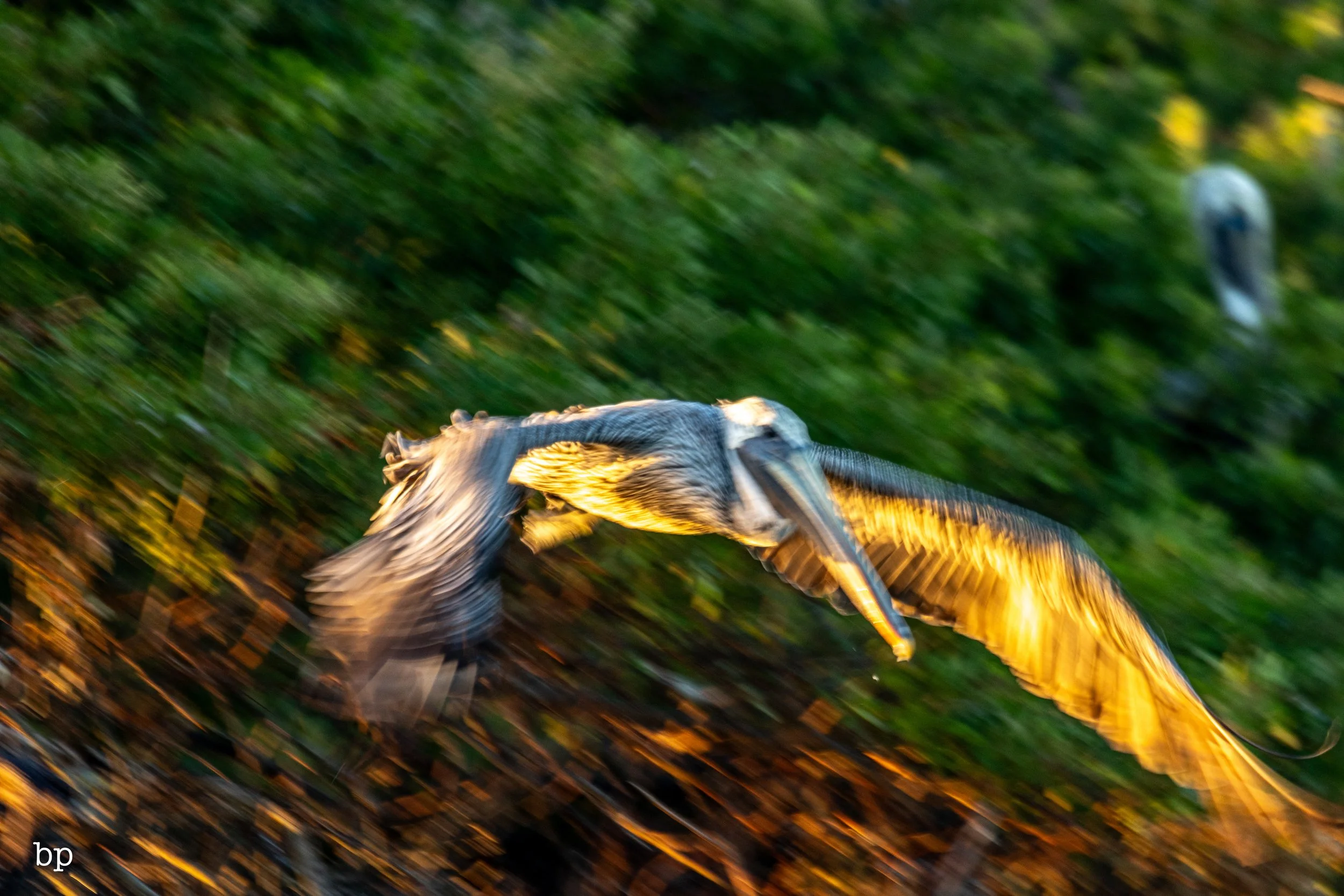 10_21_rise_16 (1 of 1).jpg