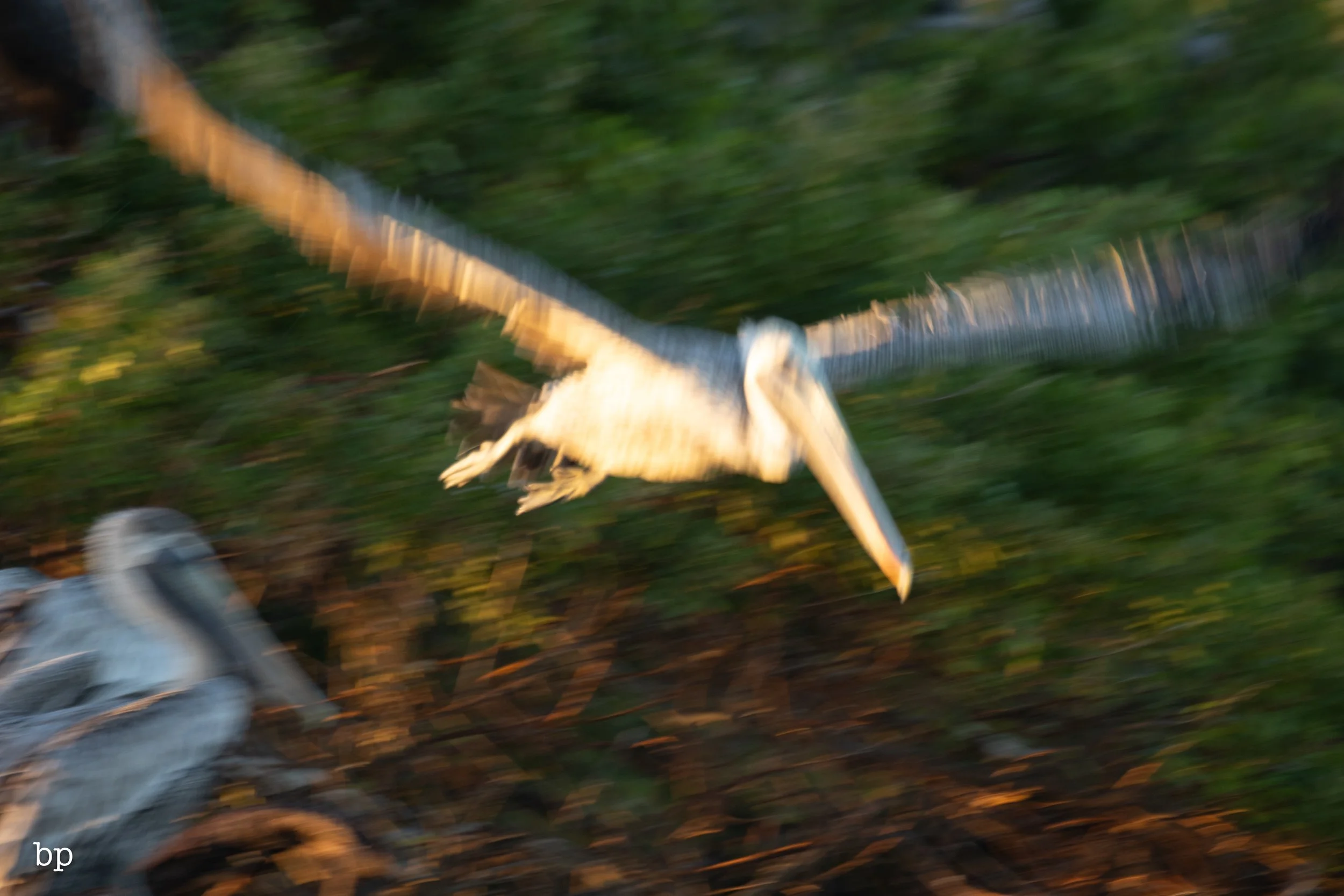 10_21_rise_15 (1 of 1).jpg