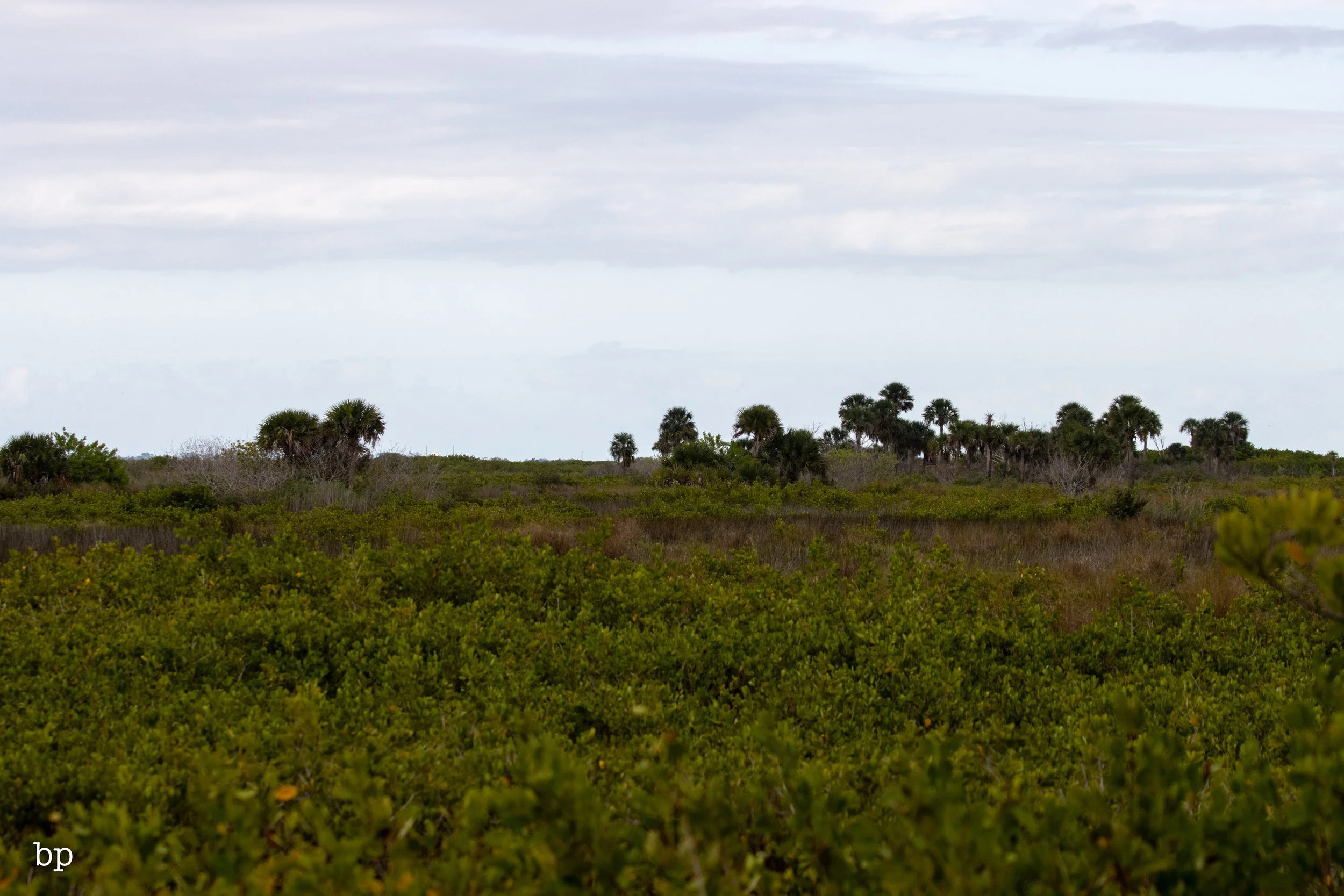 set_1209_cshore_135 (1 of 1).jpg