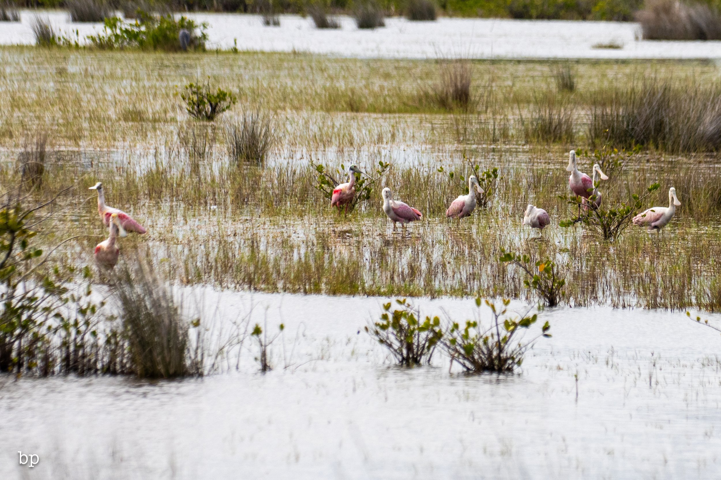 set_1209_cshore_106 (1 of 1).jpg