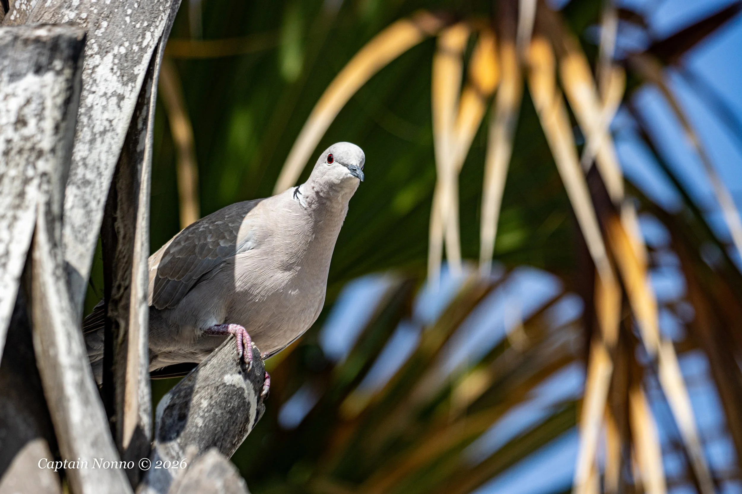 012226_236 (1 of 1).jpg