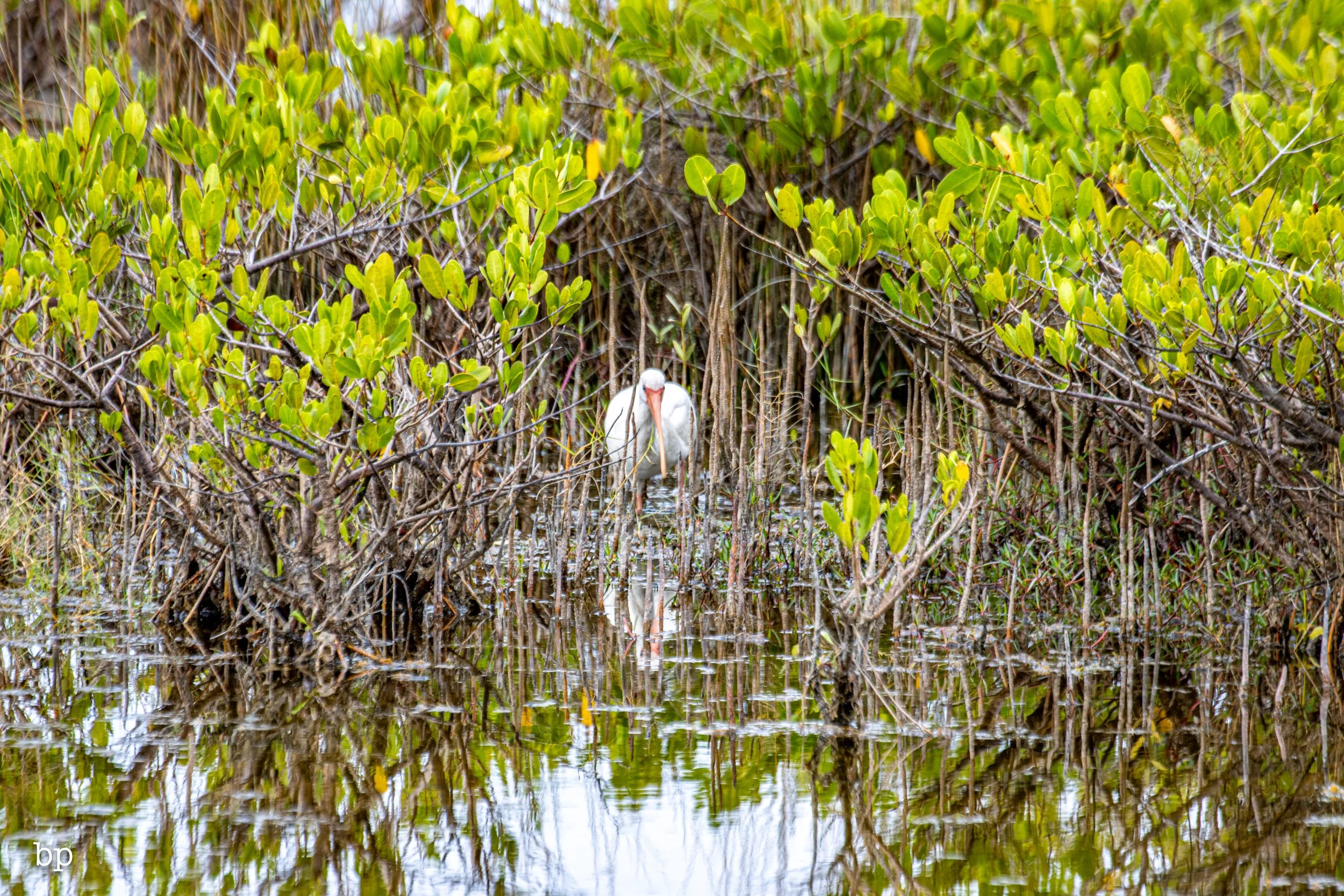 set_1209_cshore_137 (1 of 1).jpg