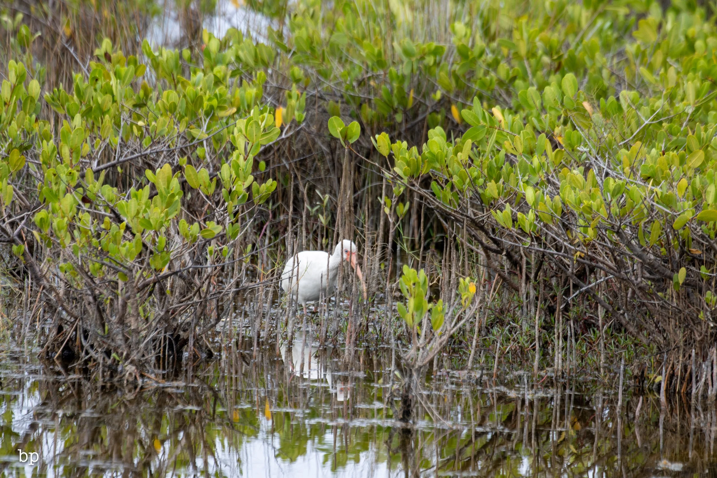 set_1209_cshore_138 (1 of 1).jpg