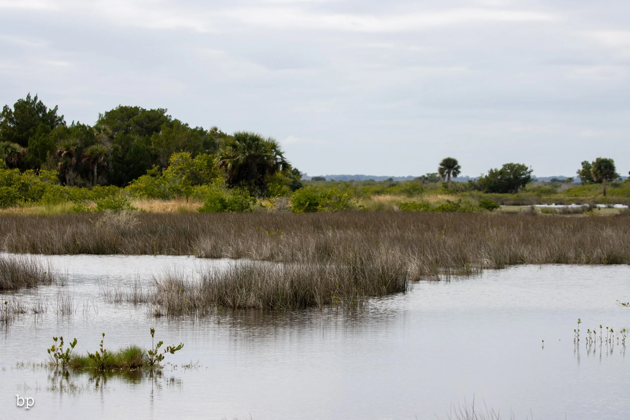 set_1209_cshore_101 (1 of 1).jpg