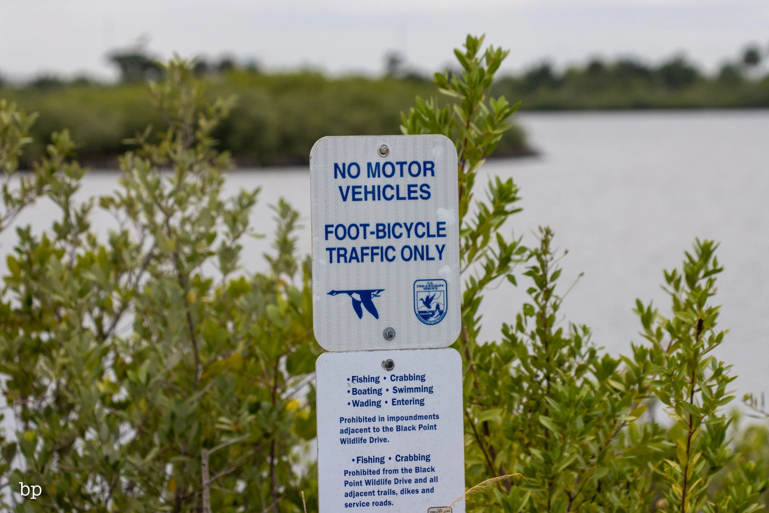 set_1209_cshore_122 (1 of 1).jpg