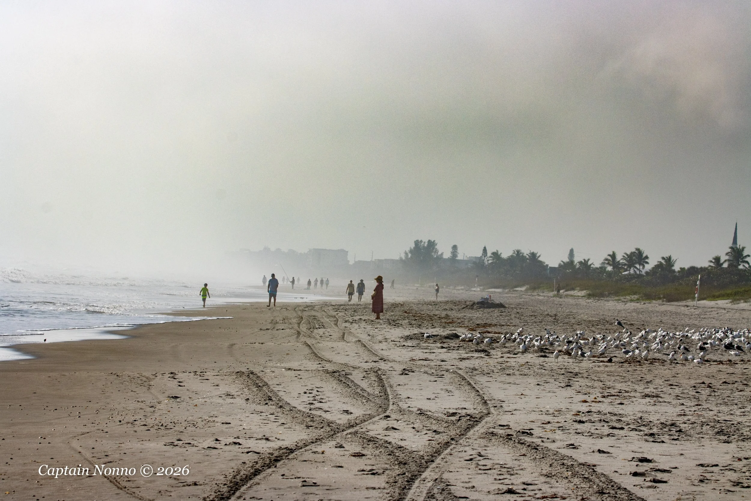 012226_226 (1 of 1).jpg