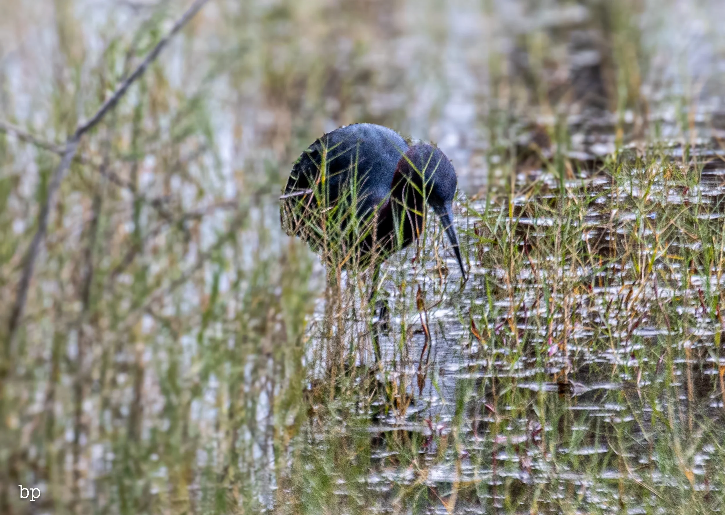 set_1209_cshore_108 (1 of 1).jpg