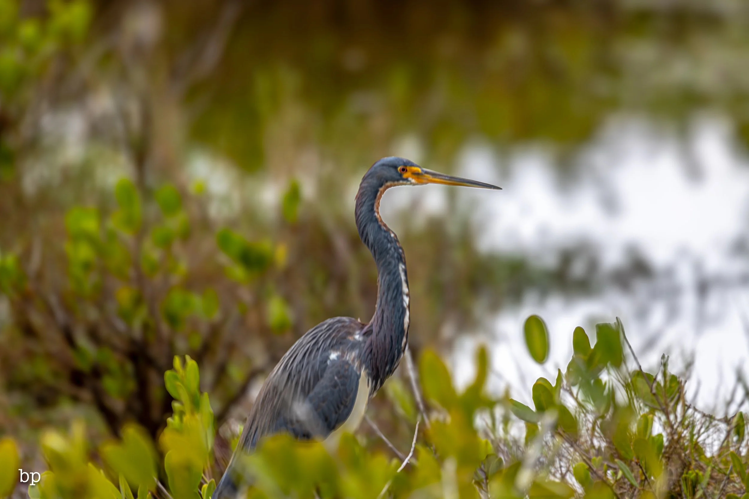 set_1209_cshore_143 (1 of 1).jpg