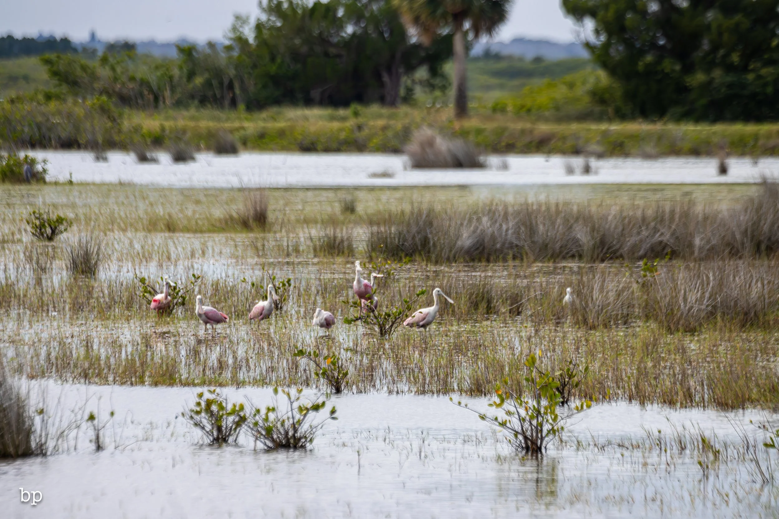 set_1209_cshore_105 (1 of 1).jpg