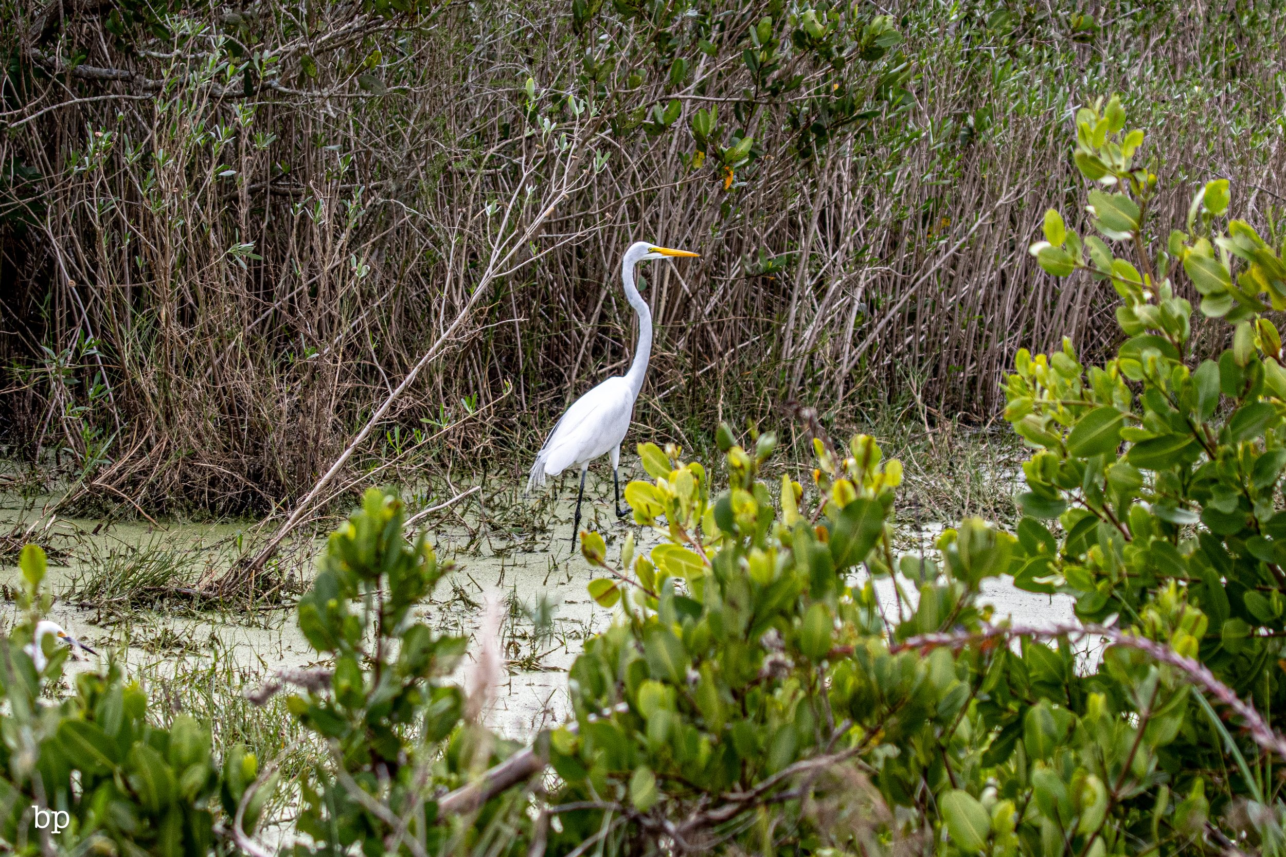 set_1209_cshore_79 (1 of 1).jpg