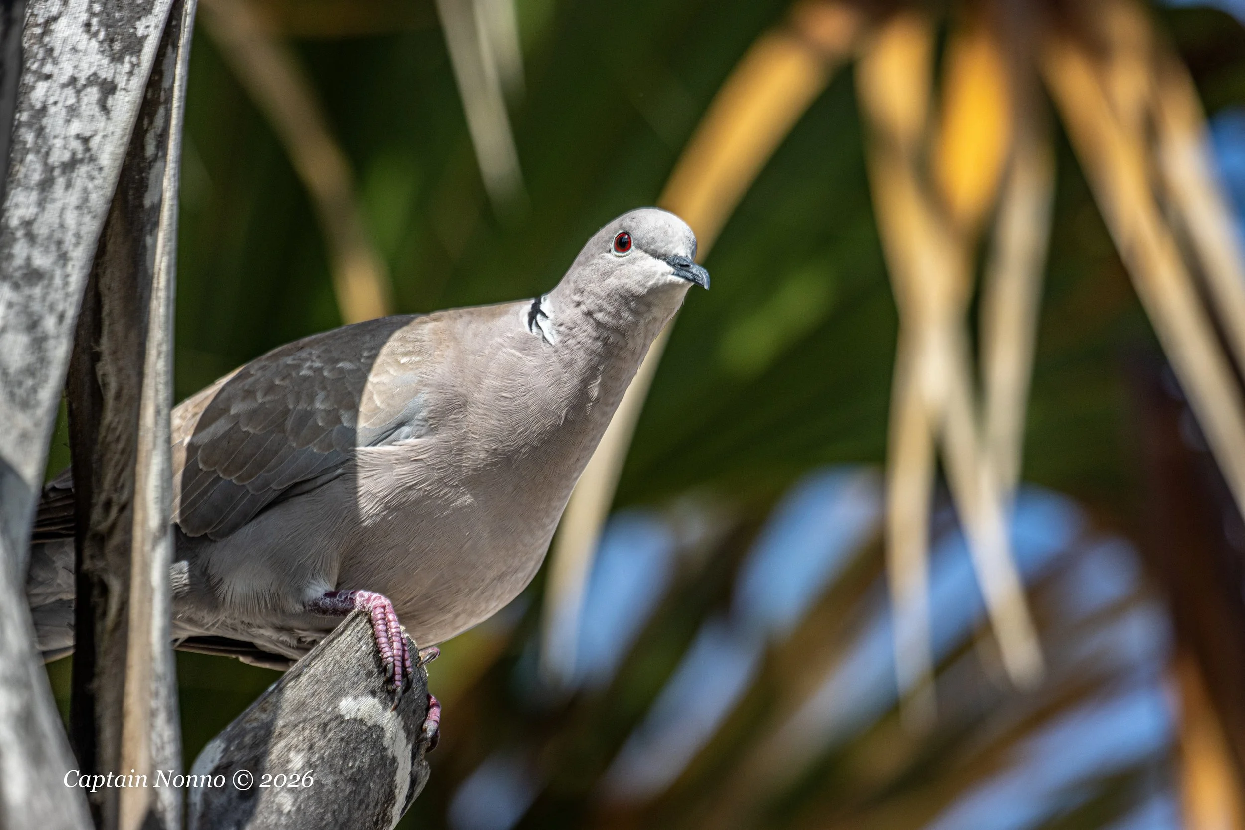 012226_237 (1 of 1).jpg