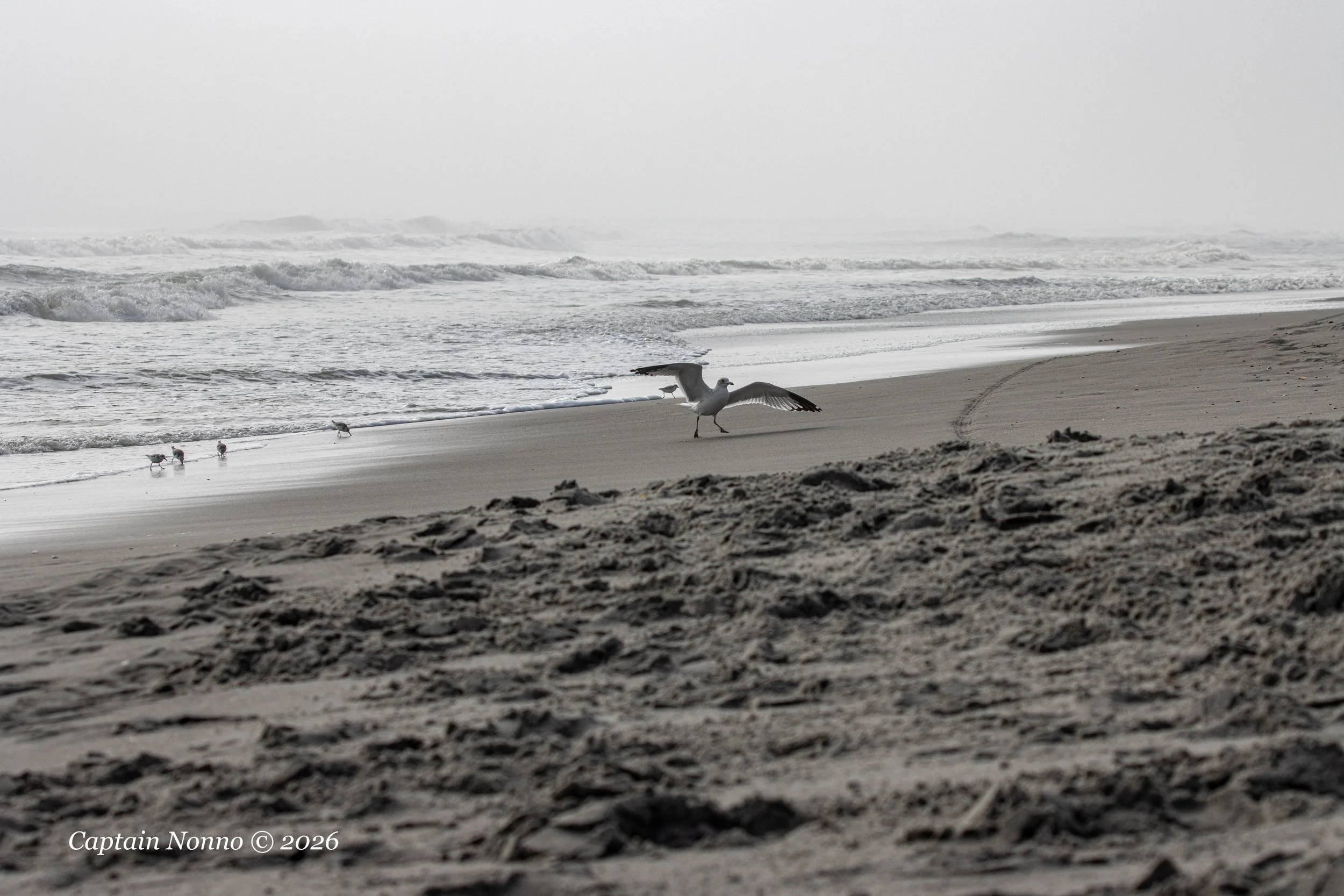 012226_207 (1 of 1).jpg