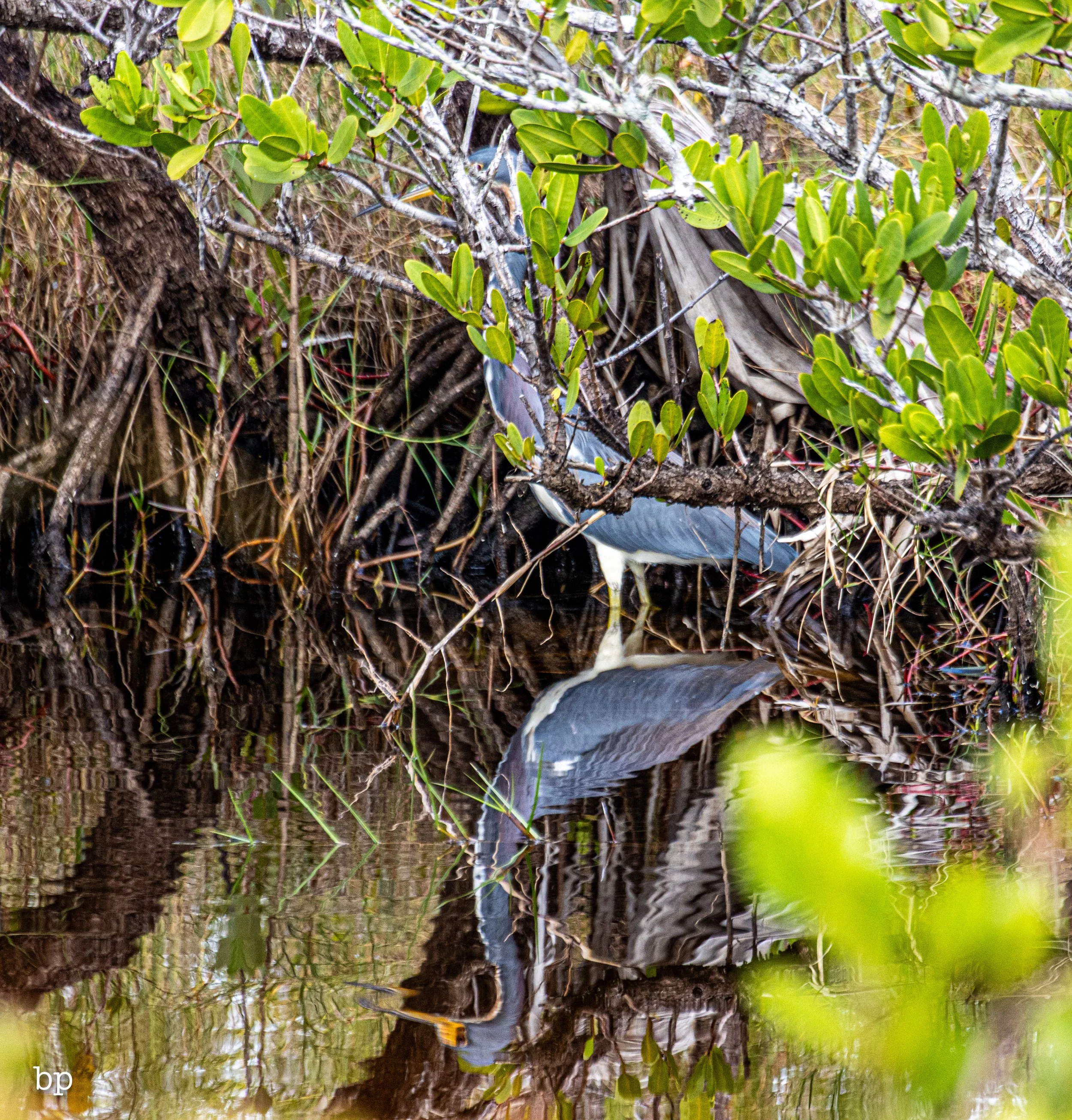 set_1209_cshore_85 (1 of 1).jpg