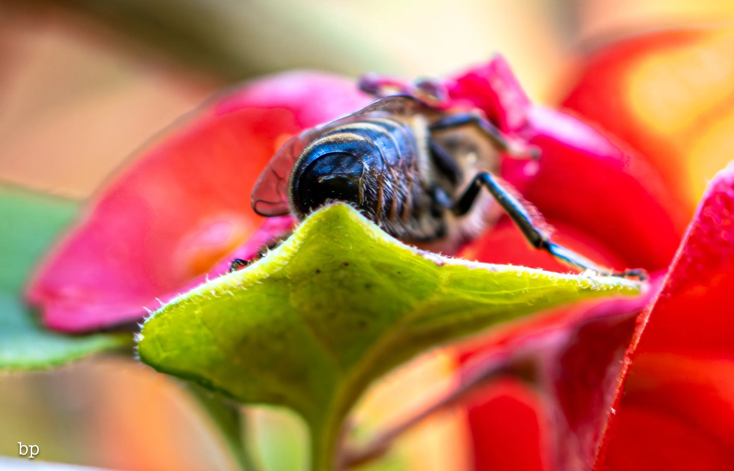 set_112525_036 (1 of 1).jpg