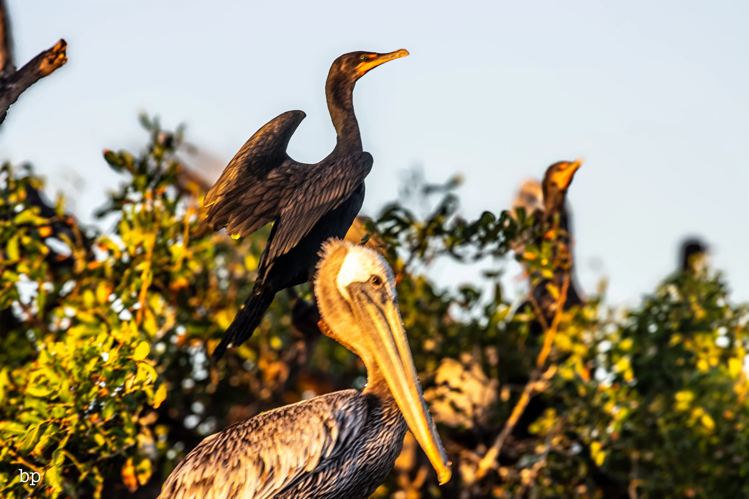 10_21_rise_39 (1 of 1).jpg