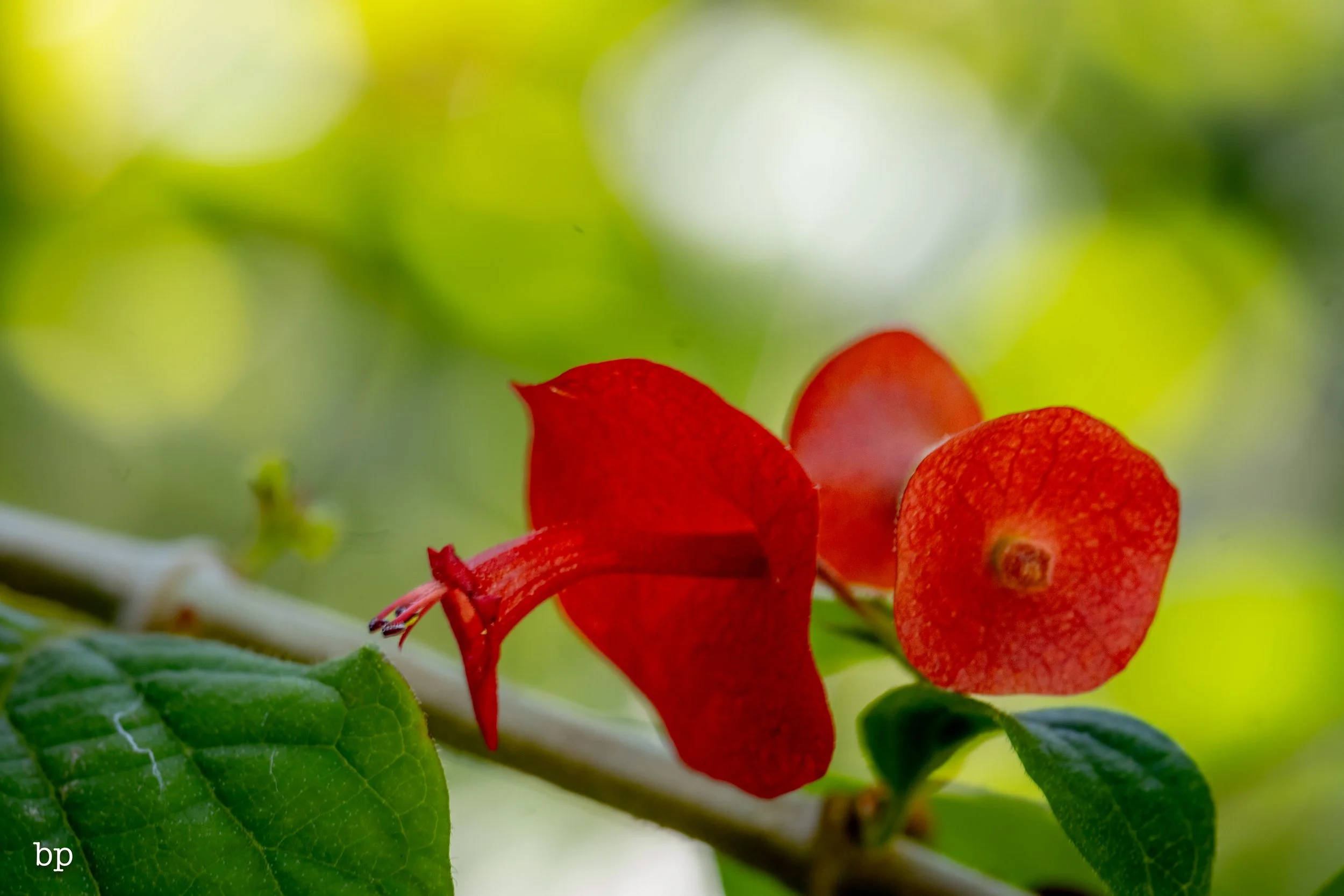 10_28_butter_155 (1 of 1).jpg