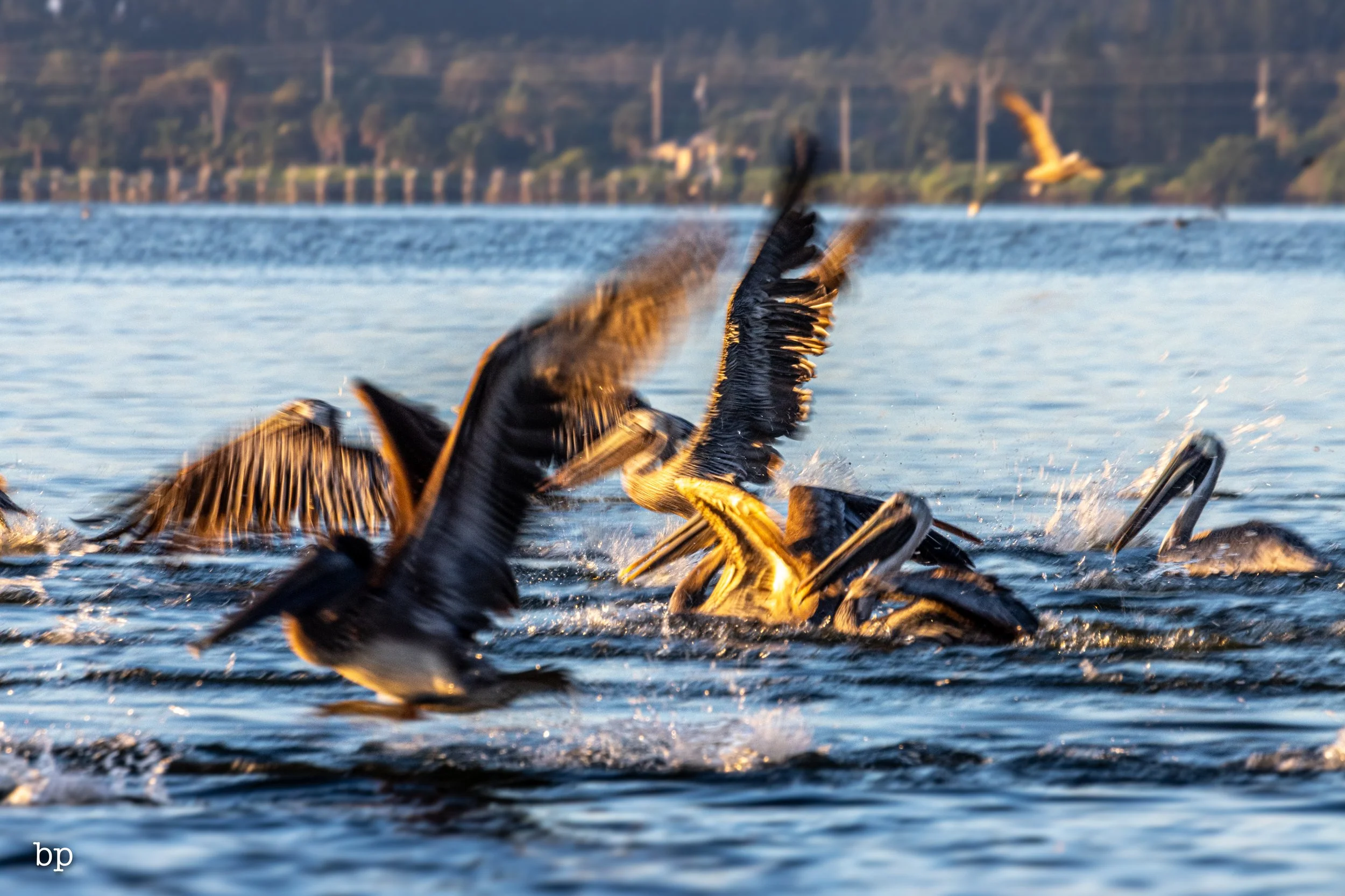 10_21_rise_37 (1 of 1).jpg