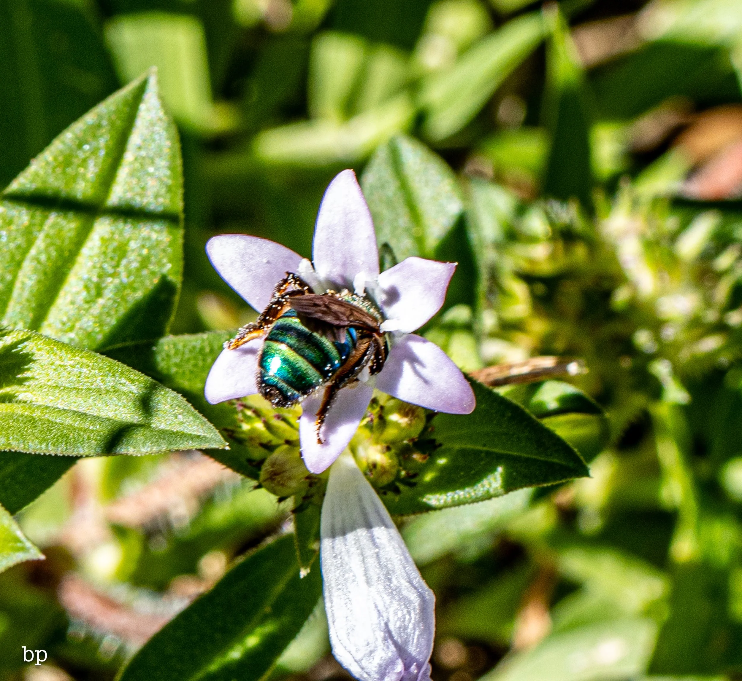 10_28_butter_170 (1 of 1).jpg