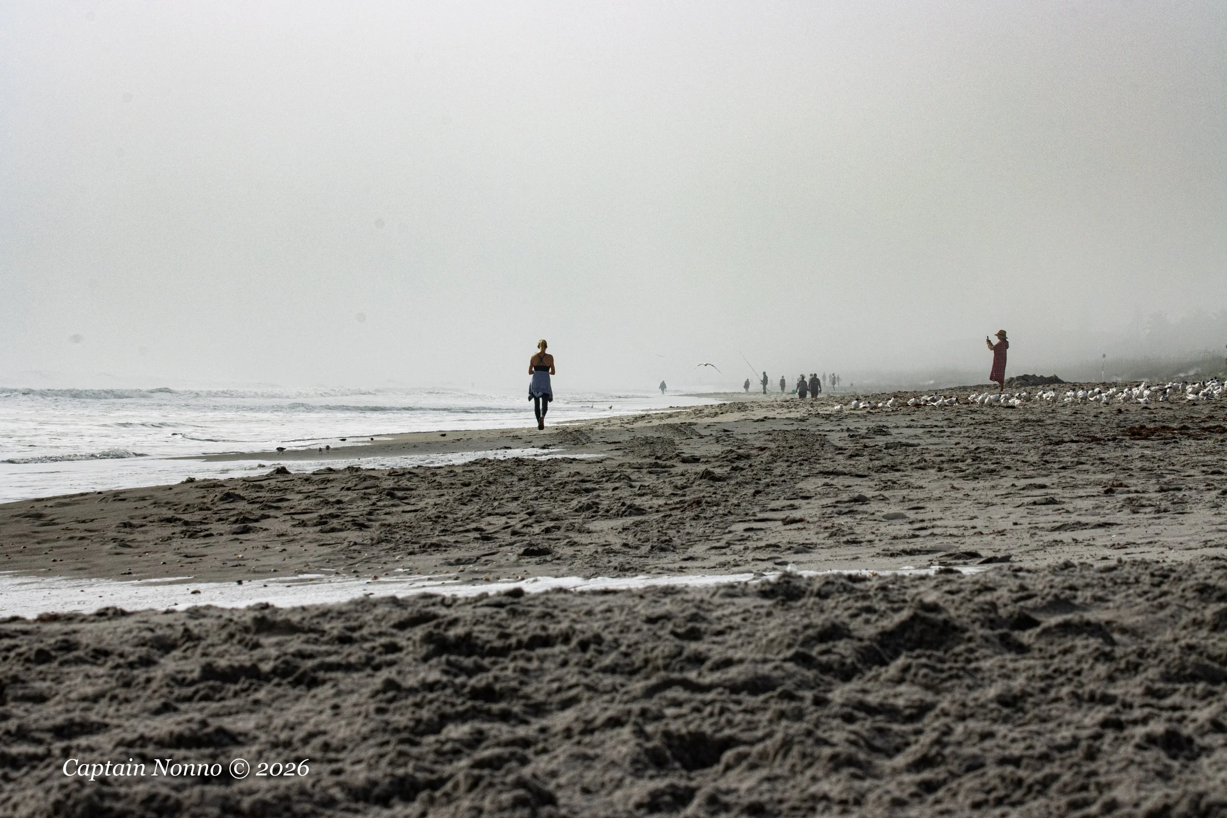 012226_193 (1 of 1).jpg