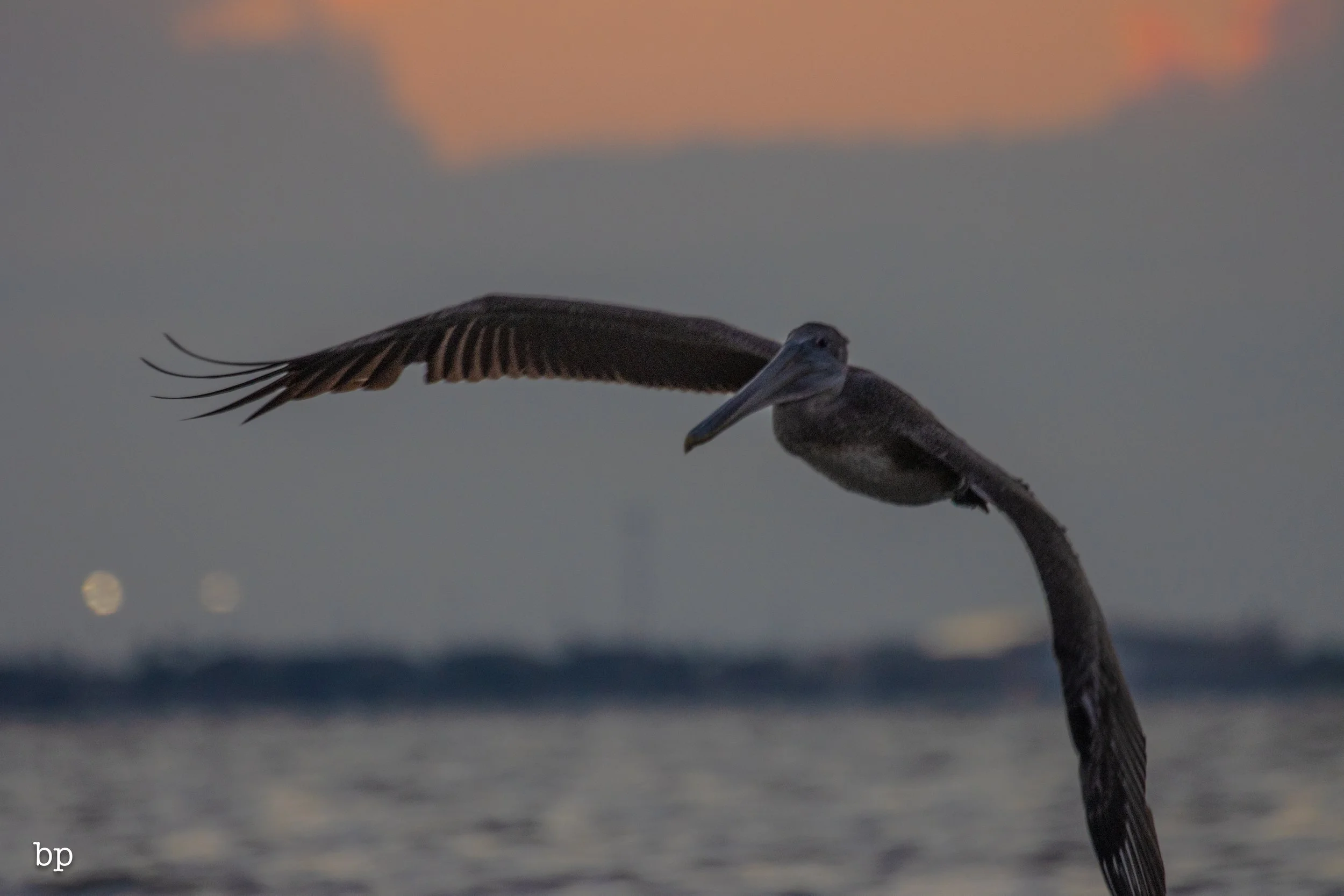 10_23_rise_113 (1 of 1).jpg