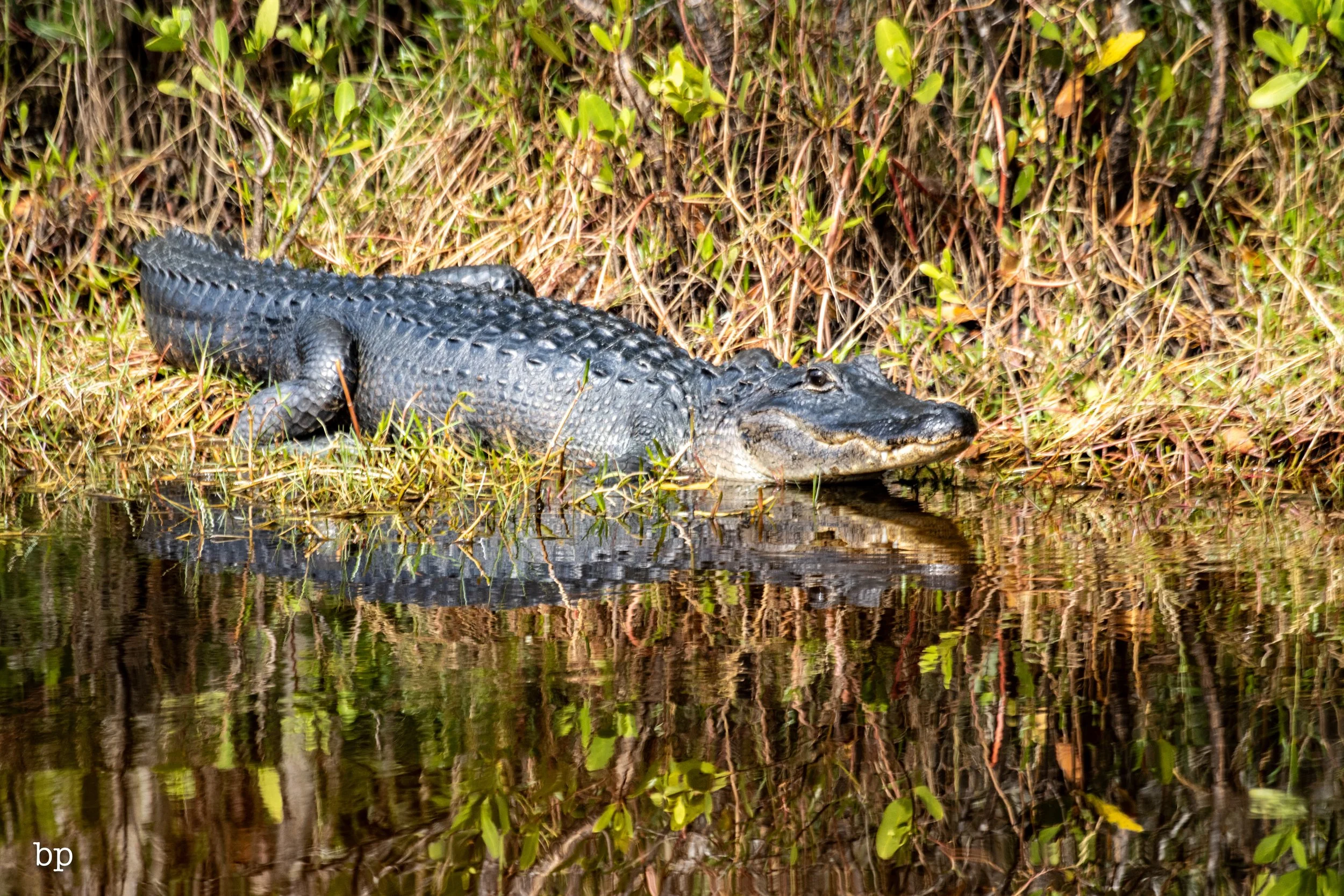 set_1209_cshore_103 (1 of 1).jpg