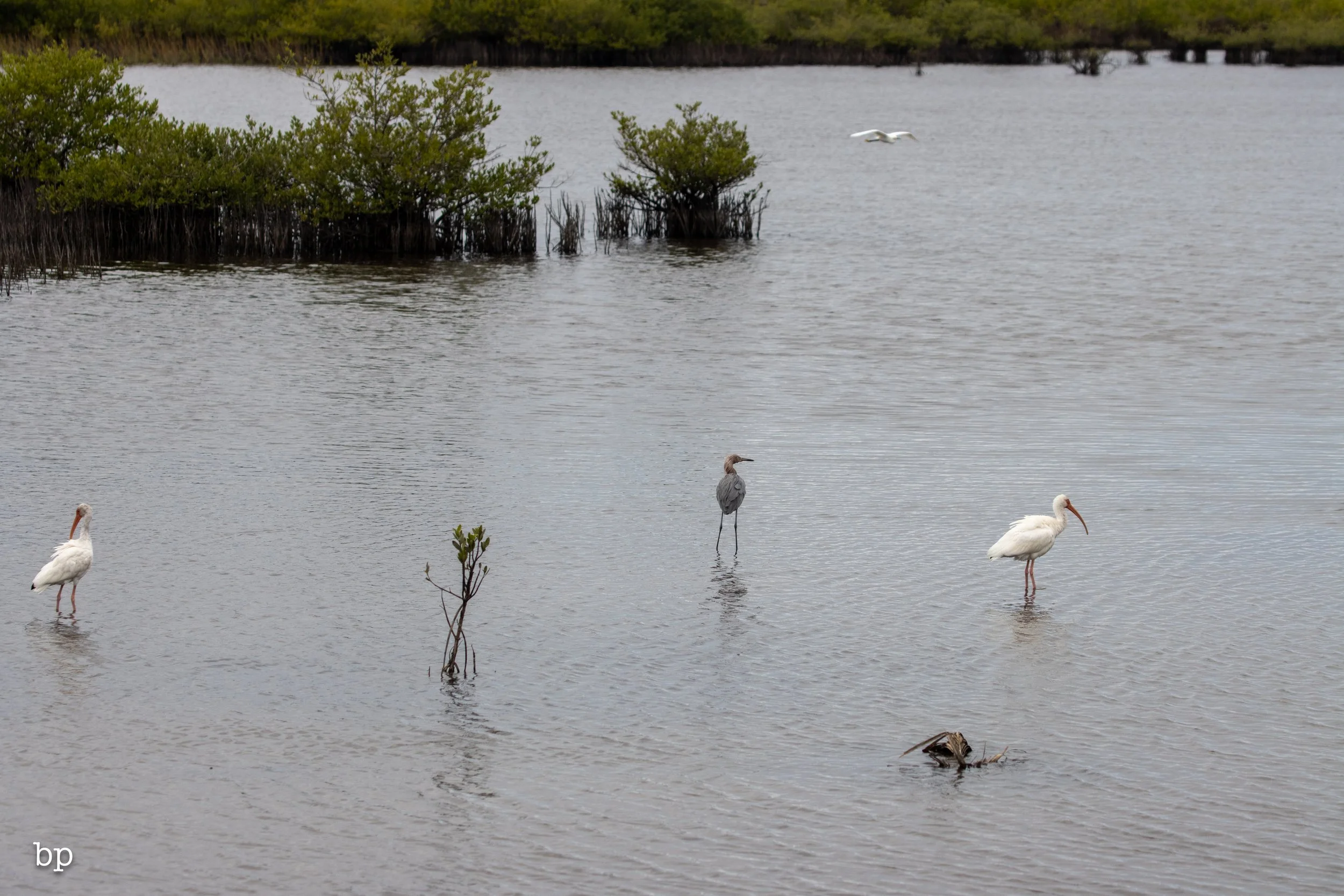 set_1209_cshore_130 (1 of 1).jpg