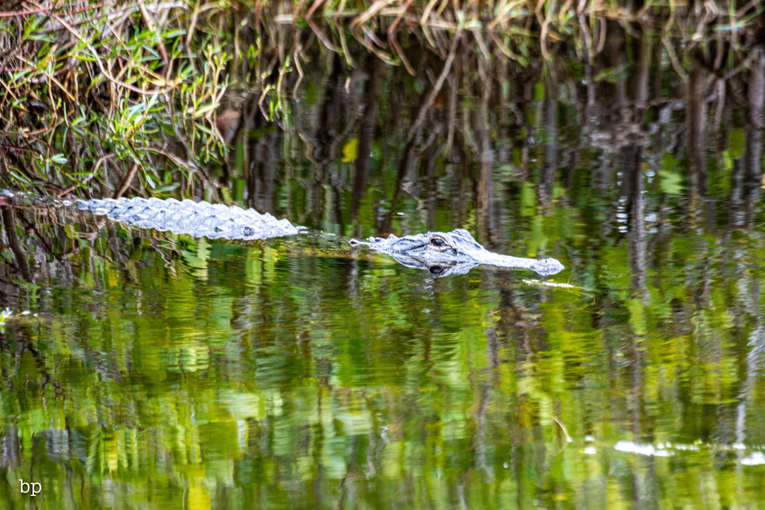 set_1209_cshore_132 (1 of 1).jpg