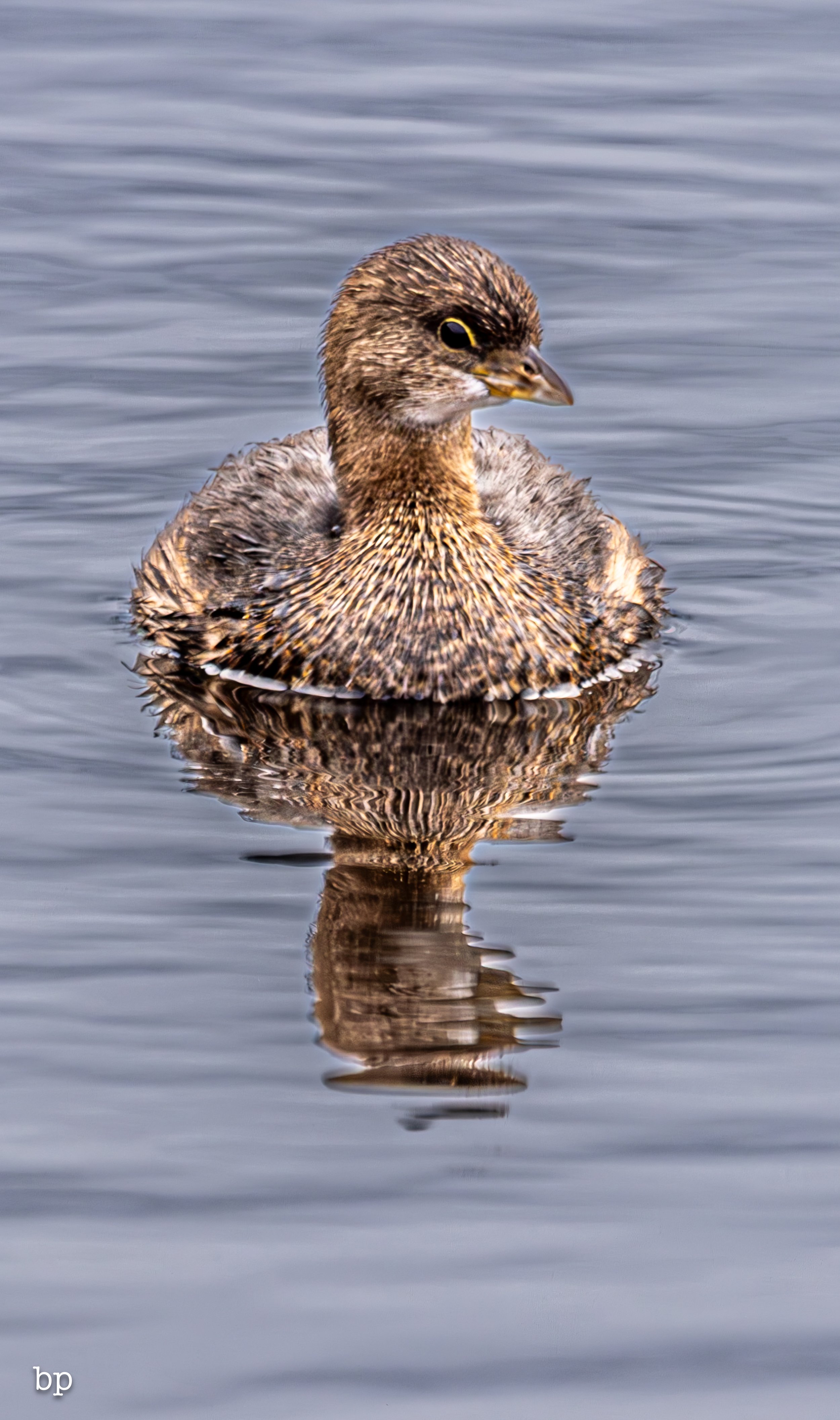 set_1209_cshore_115 (1 of 1).jpg