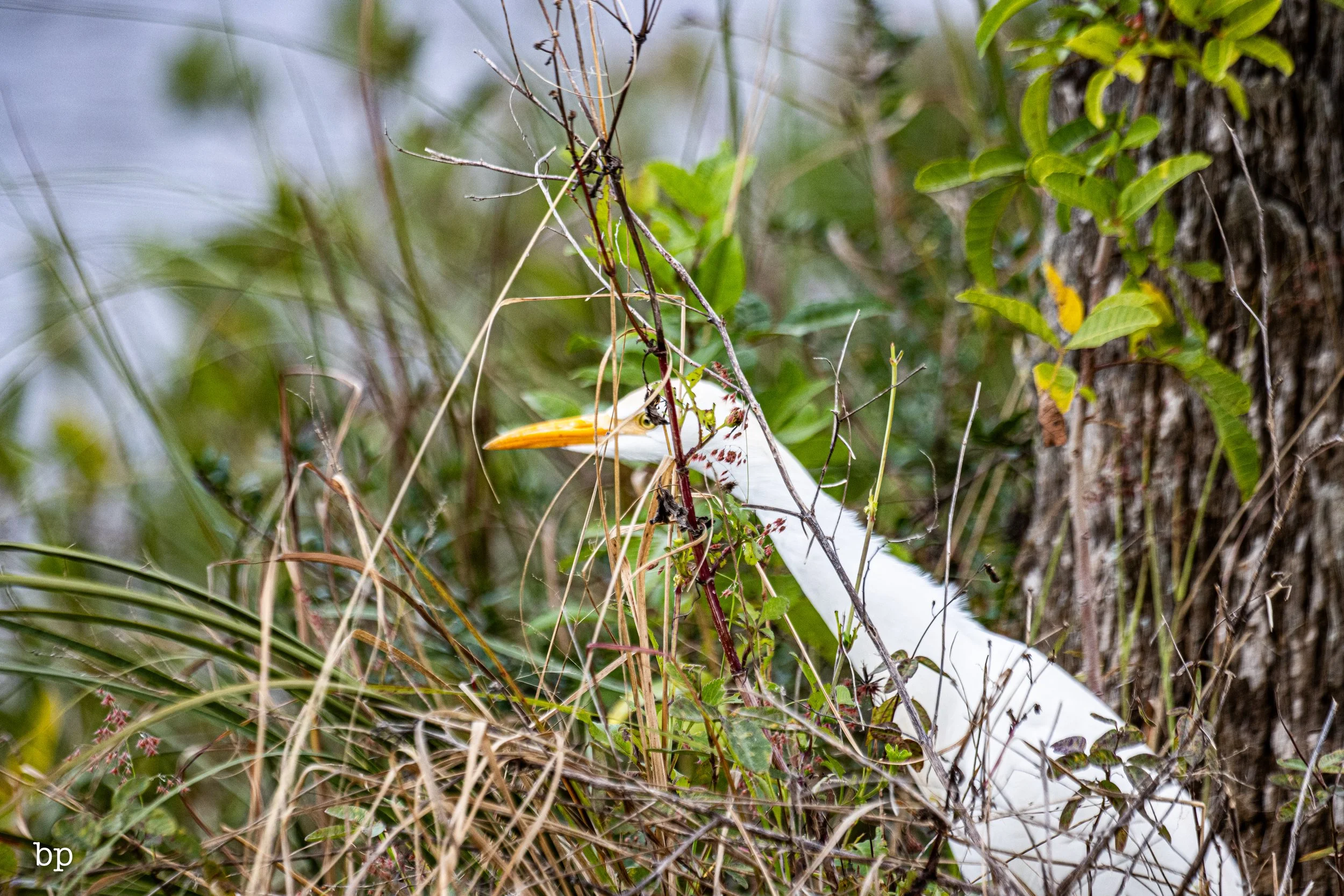 set_1209_cshore_100 (1 of 1).jpg