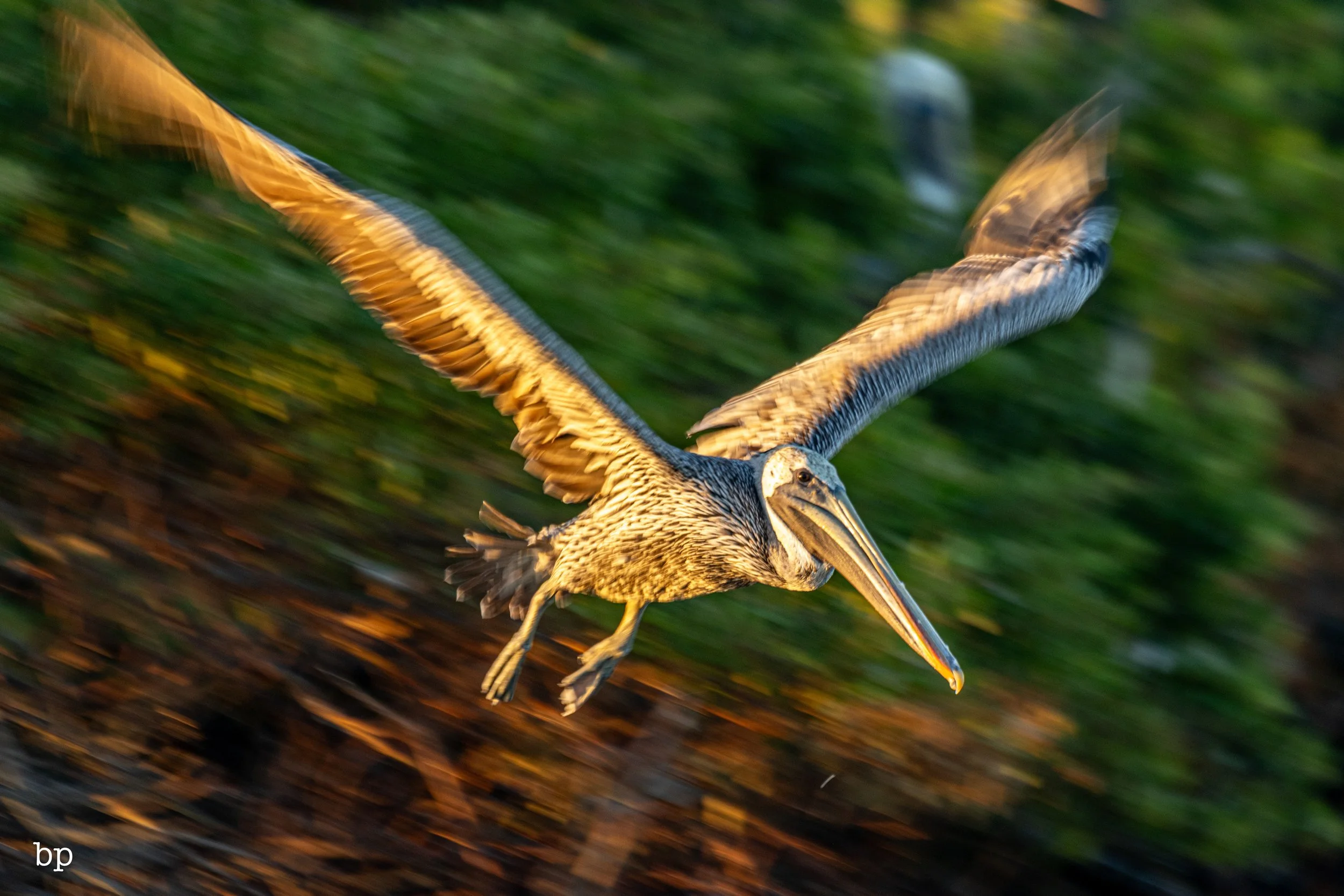 10_21_rise_17 (1 of 1).jpg