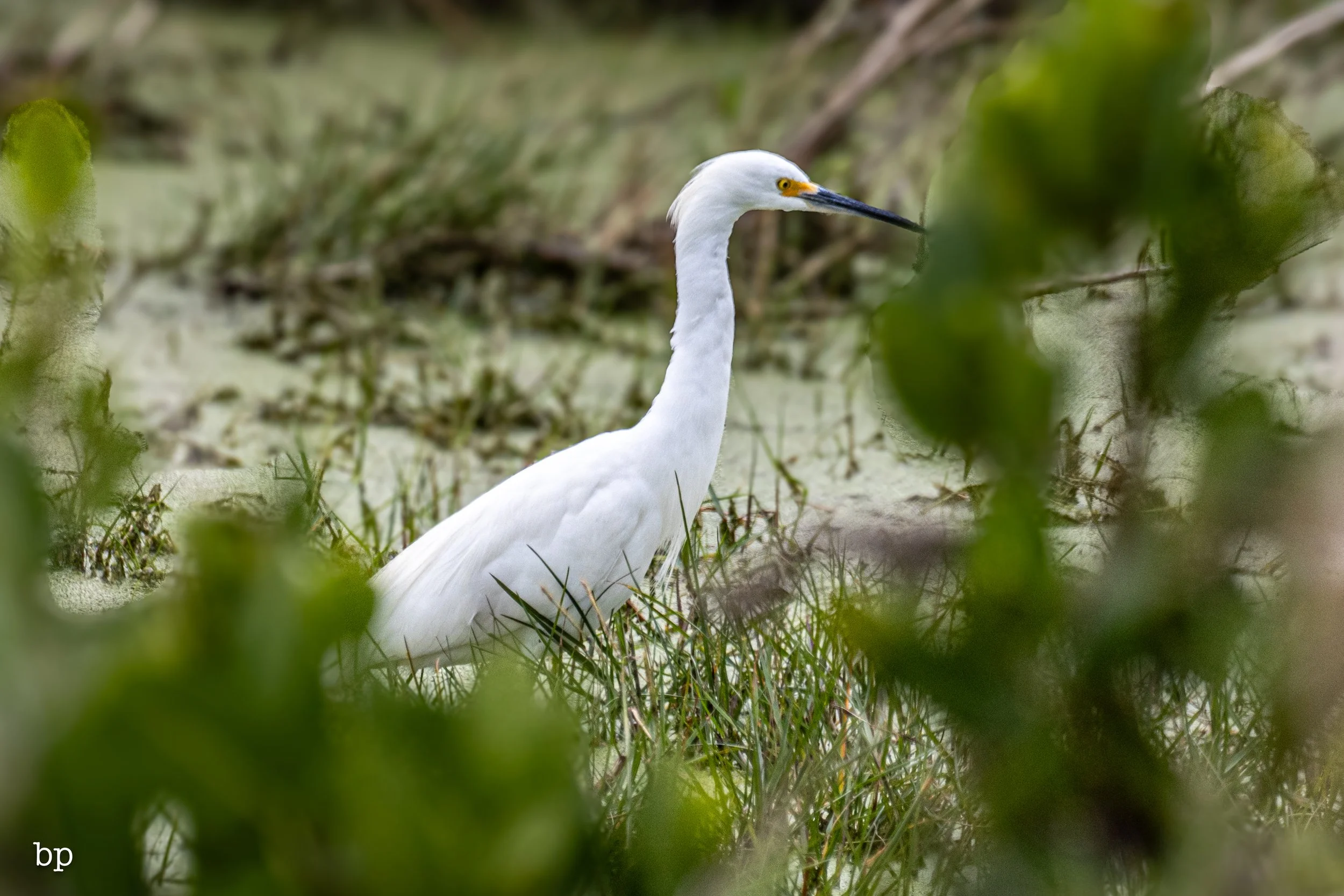 set_1209_cshore_83 (1 of 1).jpg