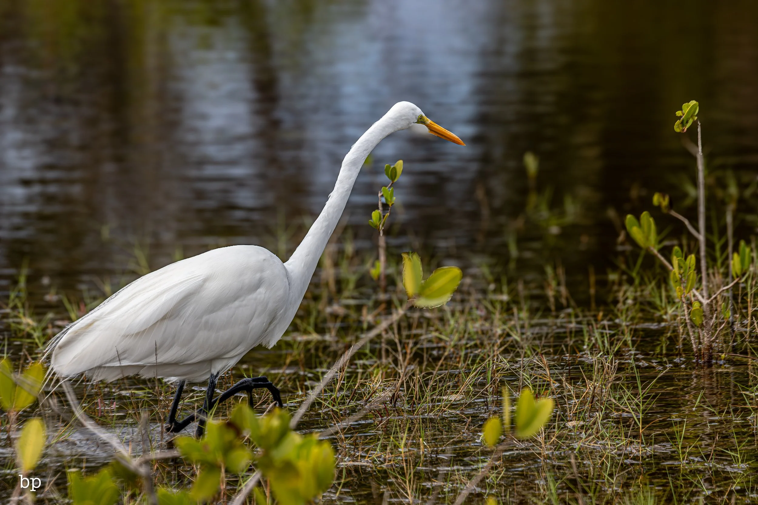 set_1209_cshore_89 (1 of 1).jpg