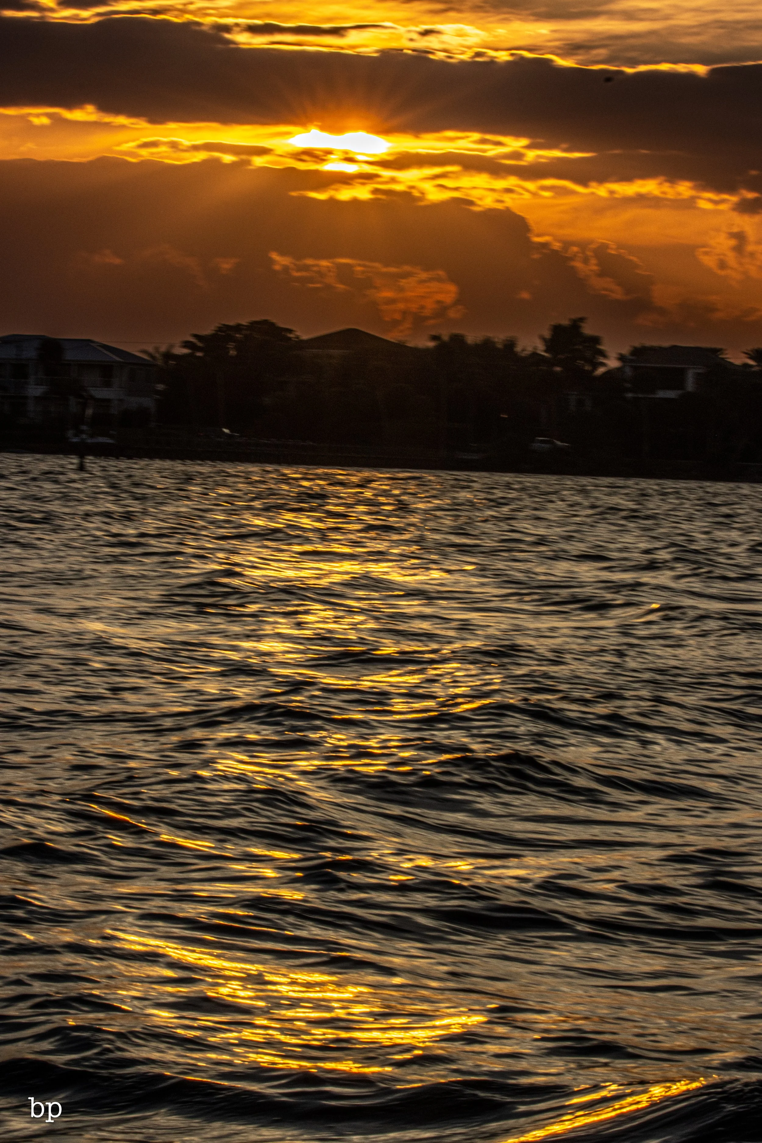 set_112525_1063 (1 of 1).jpg