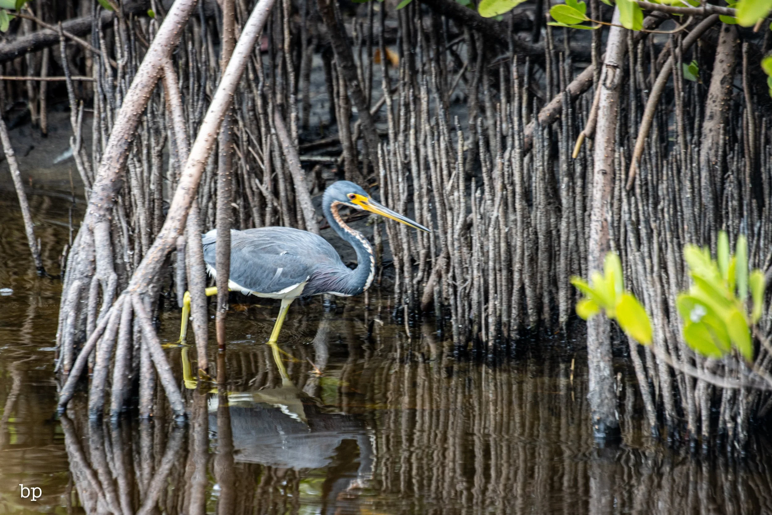 set_1209_cshore_126 (1 of 1).jpg