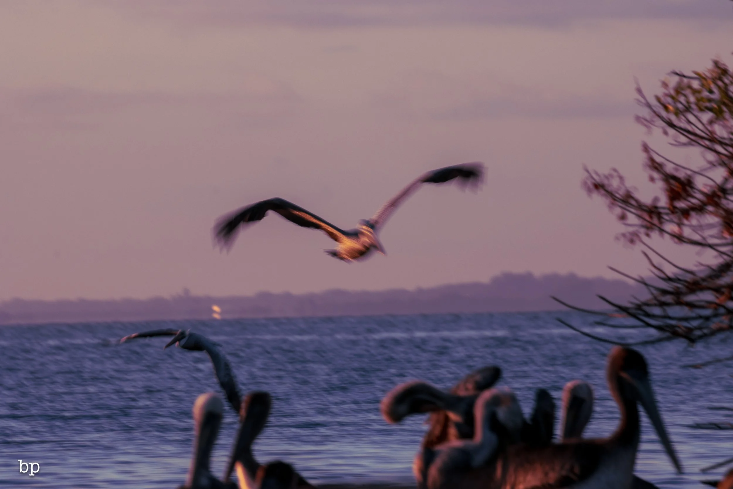 10_21_rise_14 (1 of 1).jpg