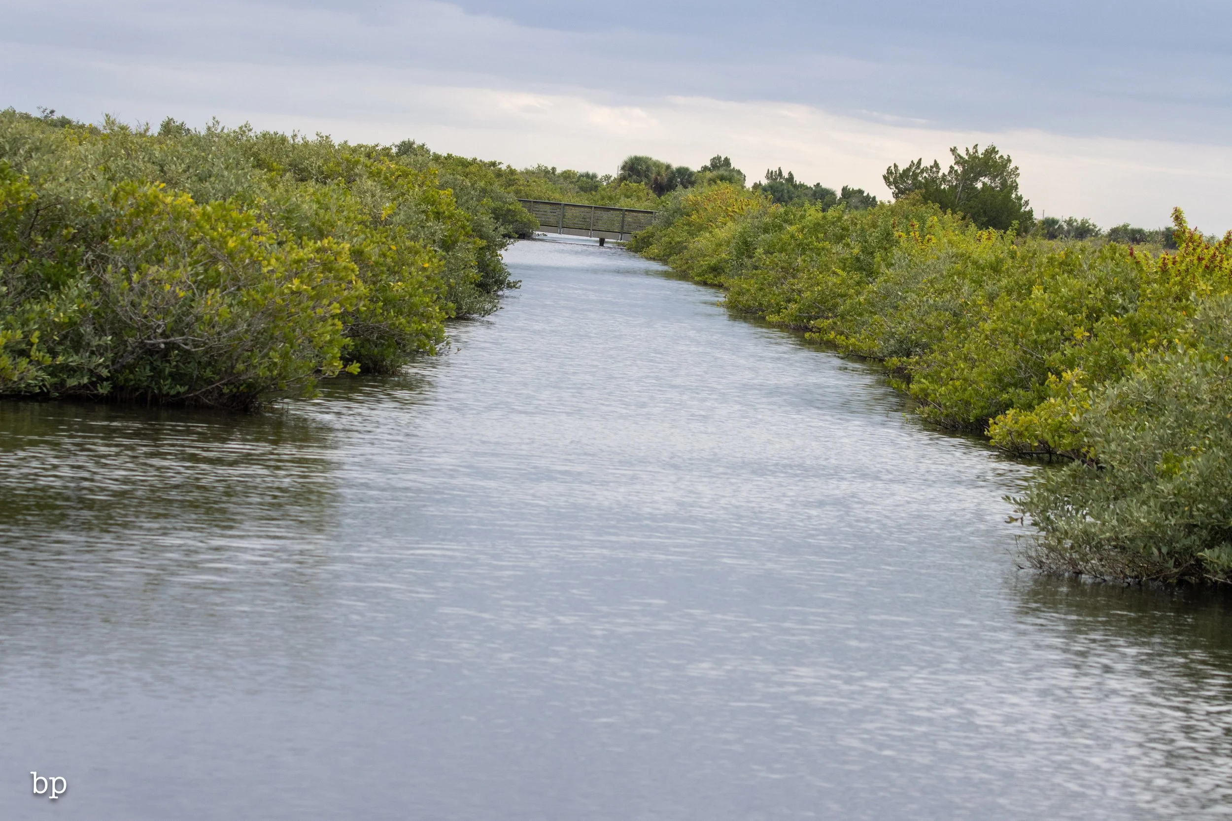 set_1209_cshore_119 (1 of 1).jpg