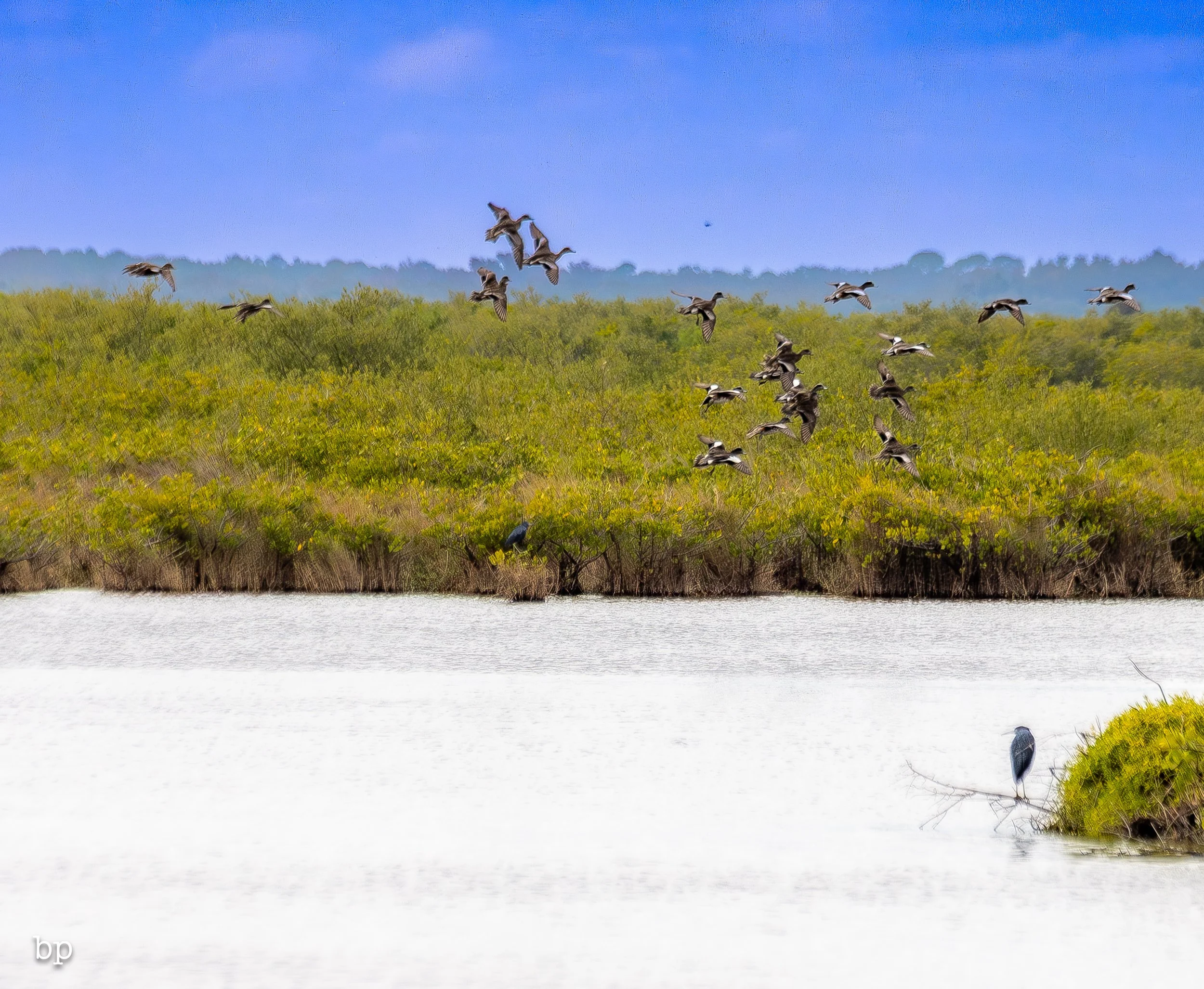 set_1209_cshore_140 (1 of 1).jpg