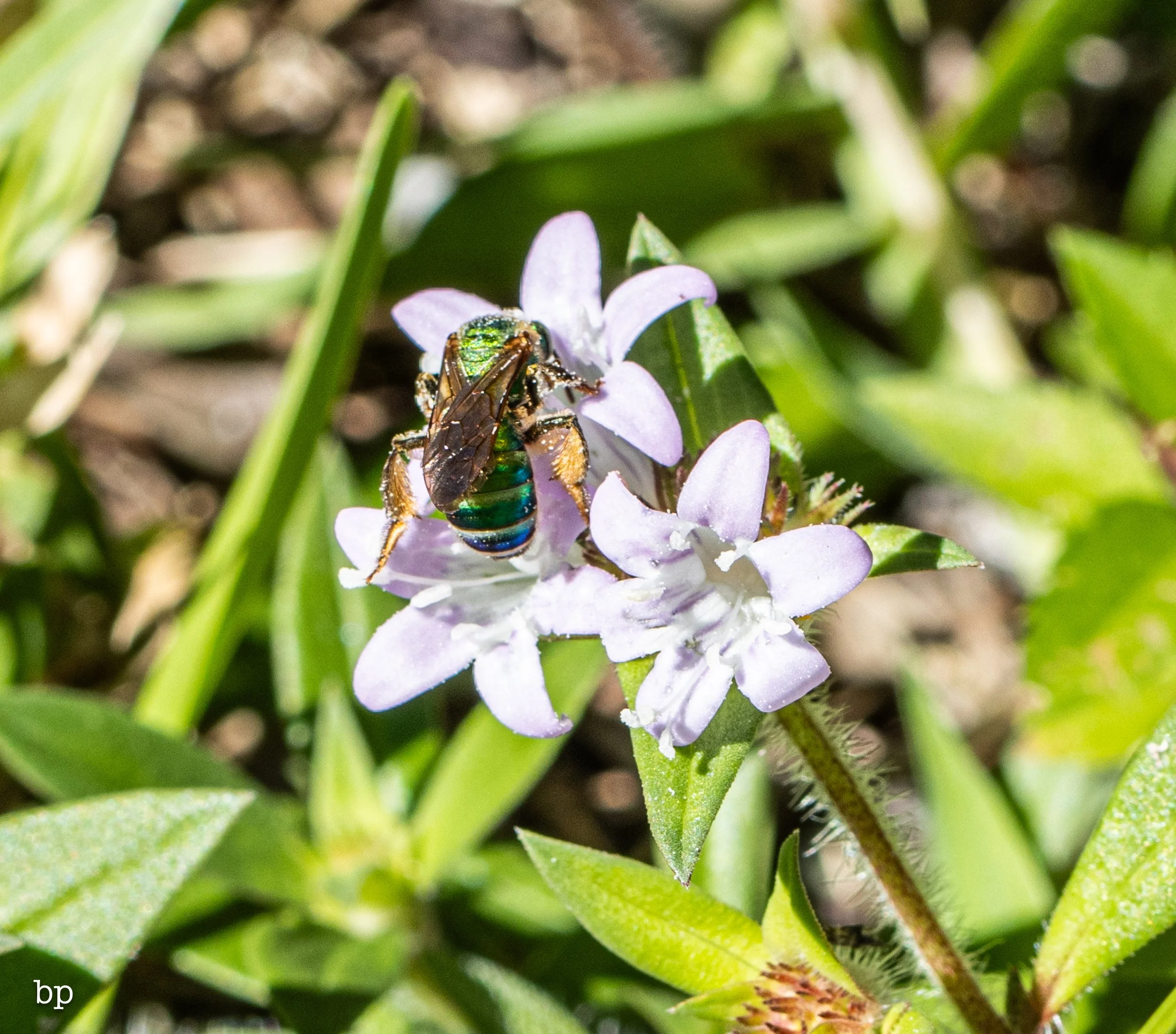 10_28_butter_166 (1 of 1).jpg