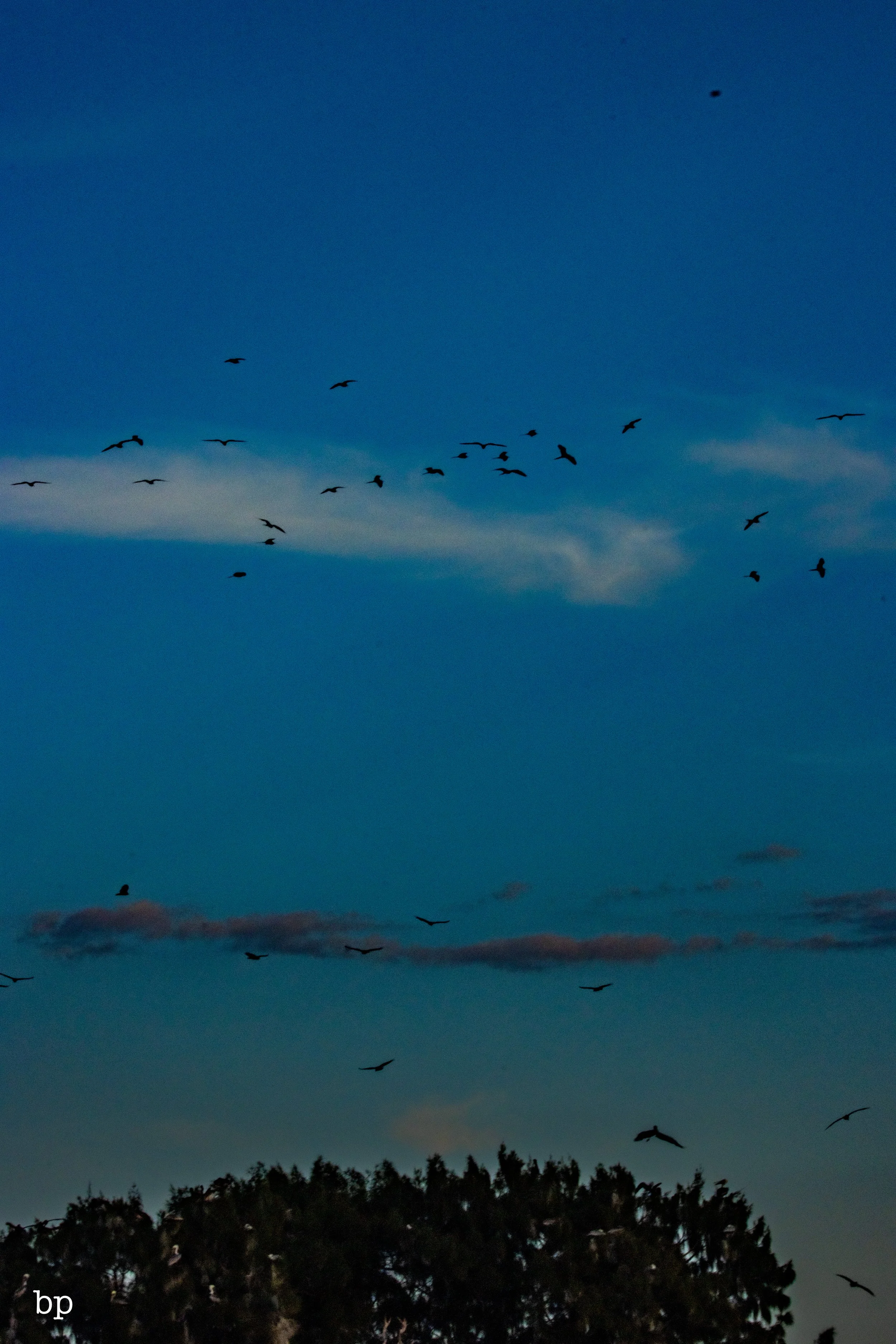 set_112525_1064 (1 of 1).jpg