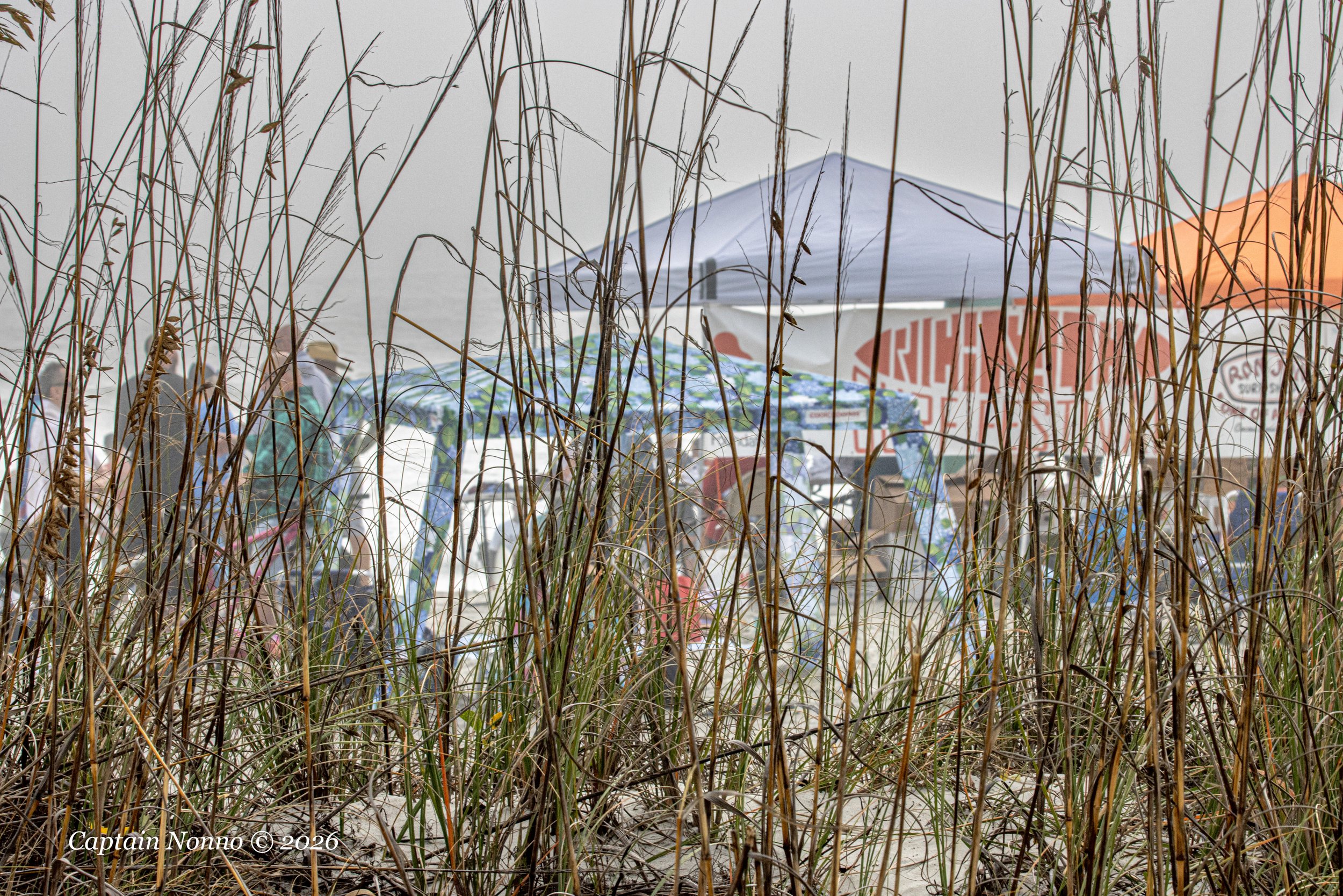 012226_159 (1 of 1).jpg