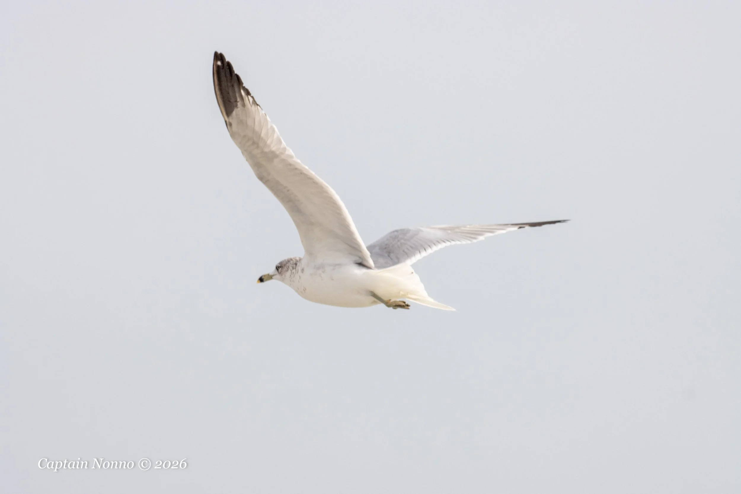 012226_205 (1 of 1).jpg