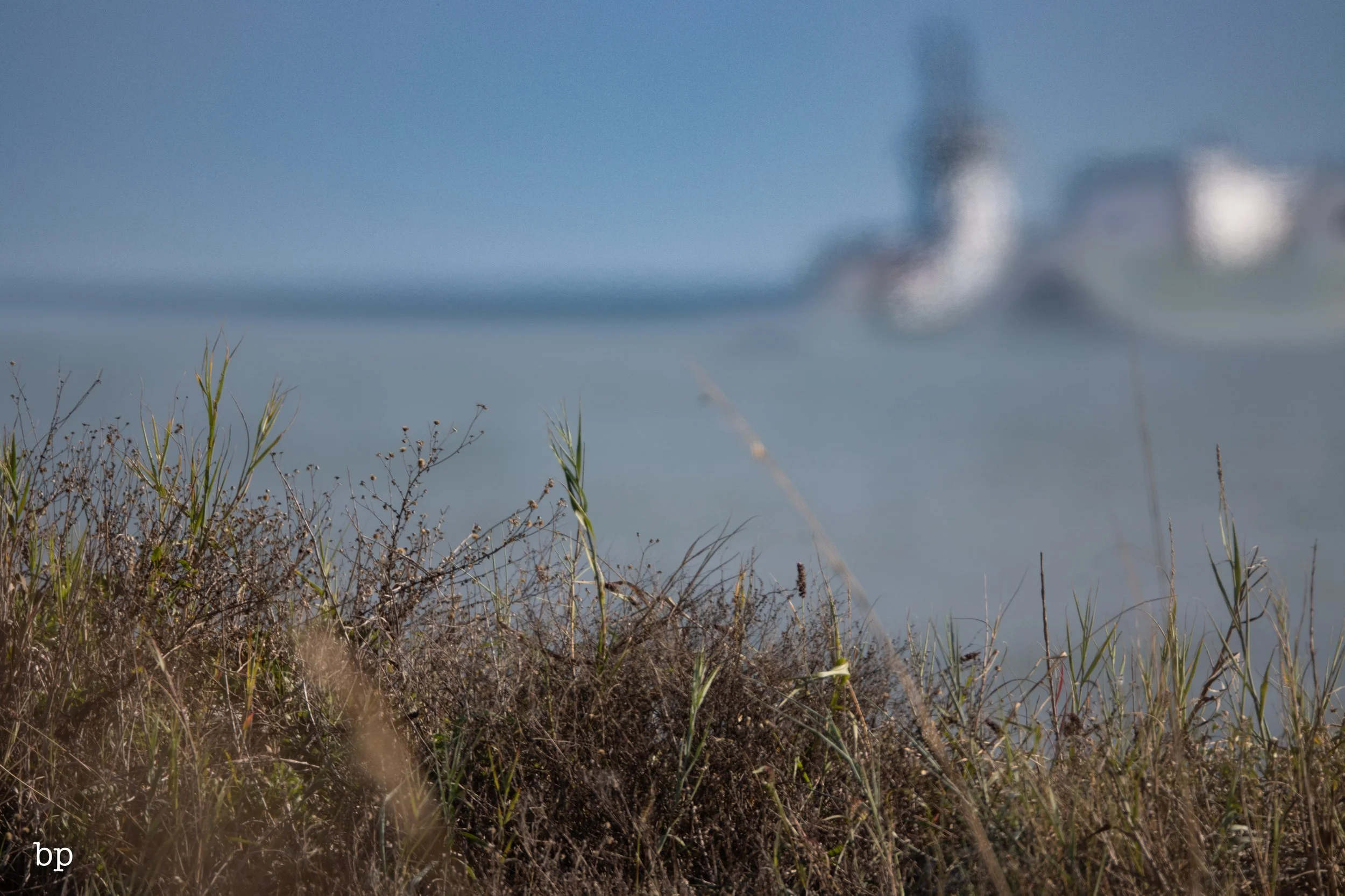 set_120525_raw_32_beachy800 (1 of 1).jpg