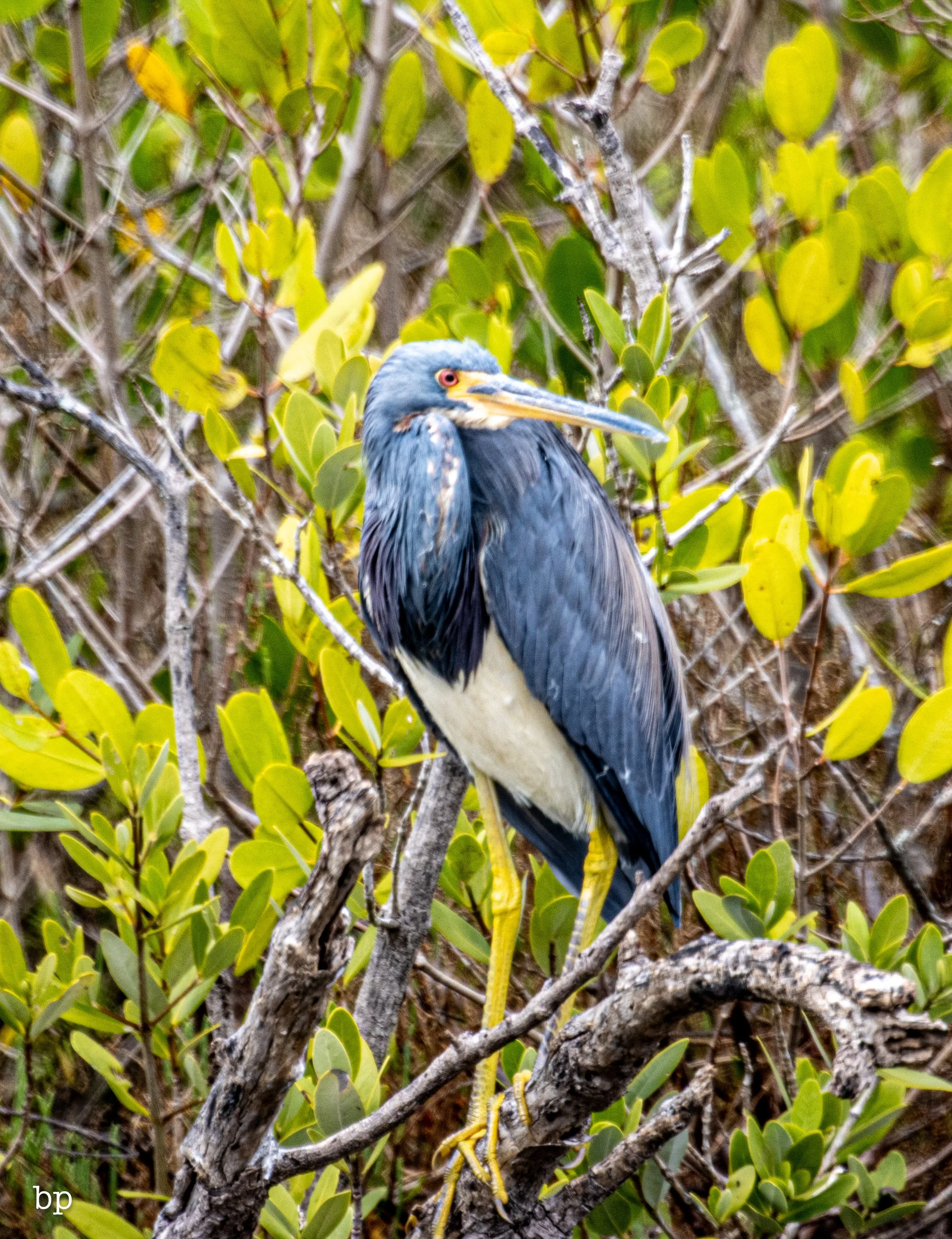 set_1209_cshore_129 (1 of 1).jpg