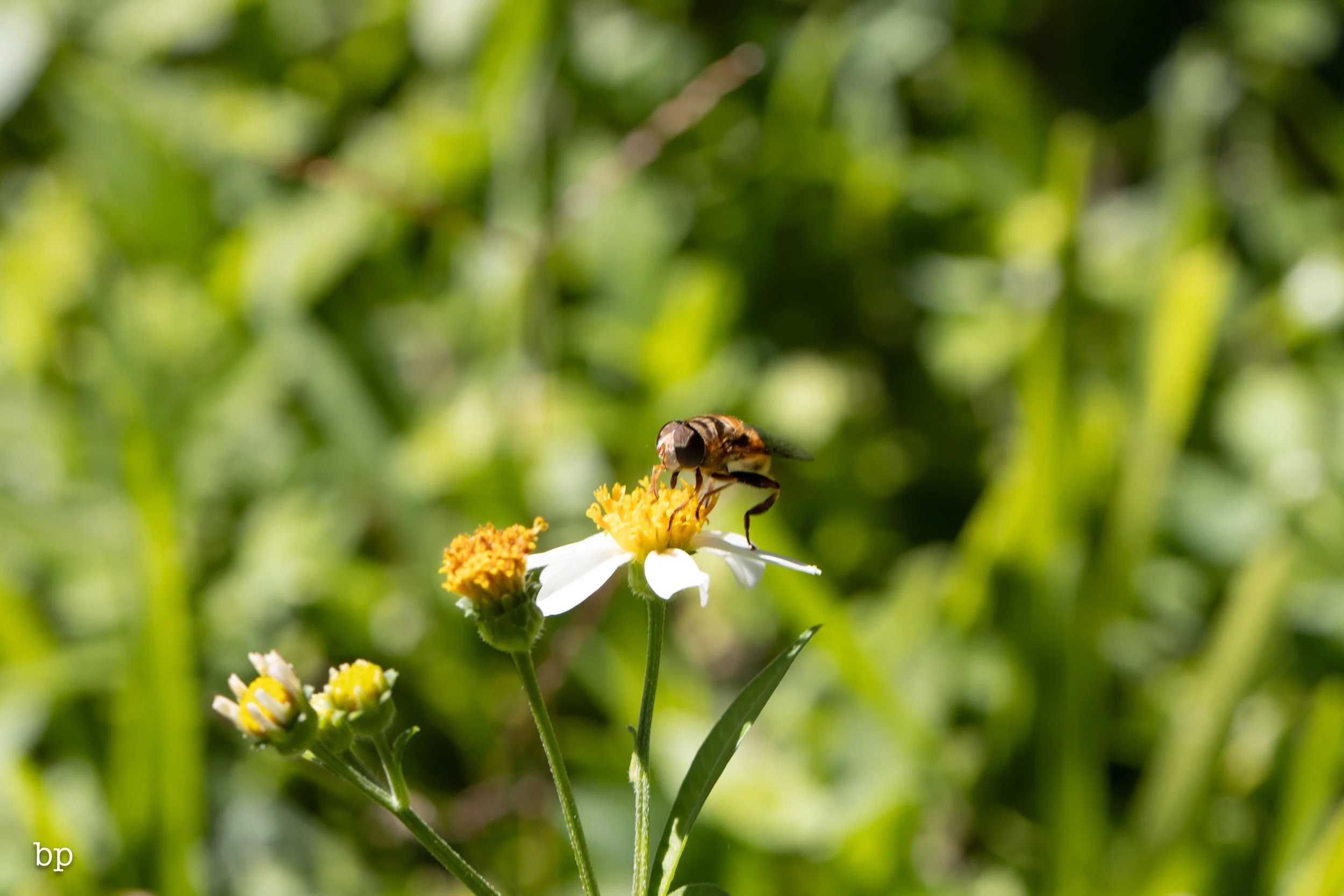 10_28_butter_162 (1 of 1).jpg